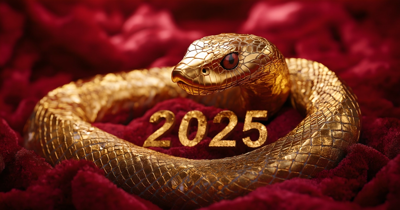 Les 5 Signes de l&rsquo;Astrologie Chinoise avec LE PLUS de potentiel pour leur carrière en 2025