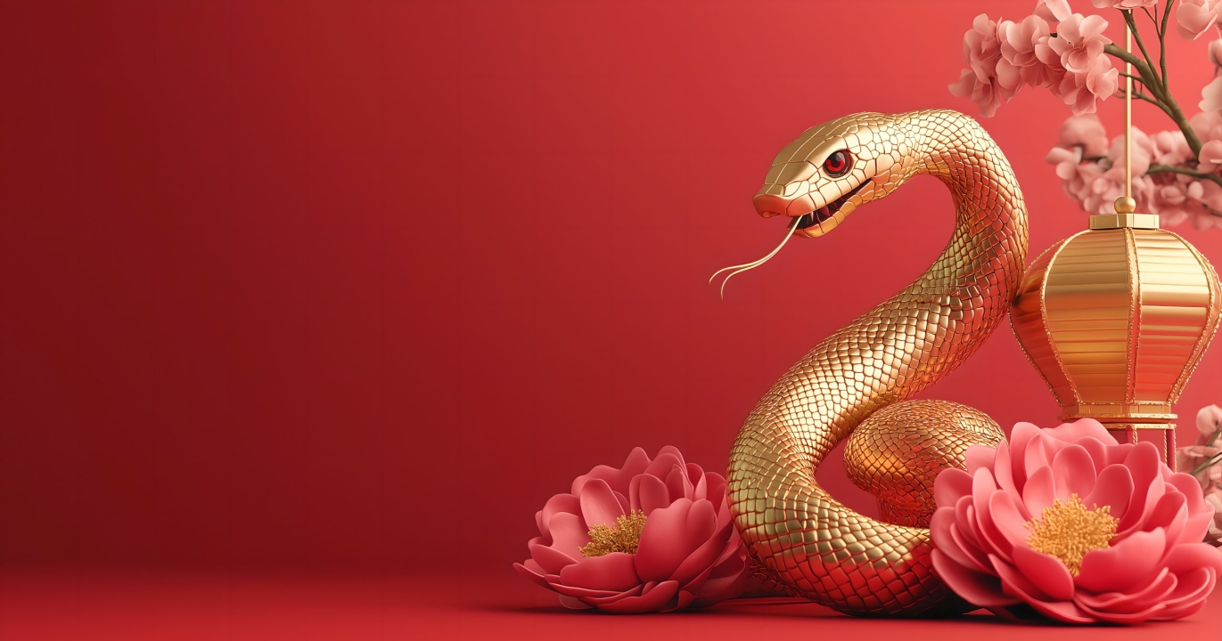 Les 5 Signes de l’Astrologie Chinoise pour qui la vie ne sera plus pareil en 2025