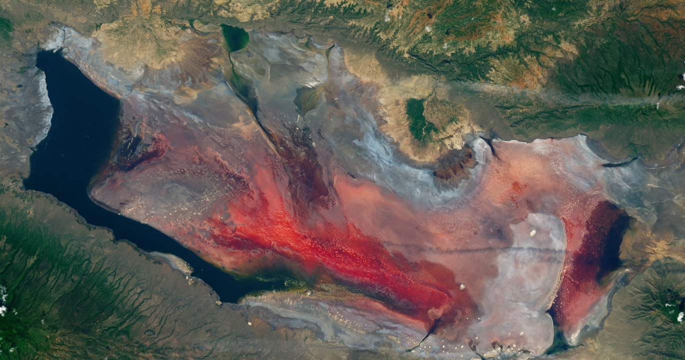 Ce lac mortel de Tanzanie qui transforme les animaux en « pierre »