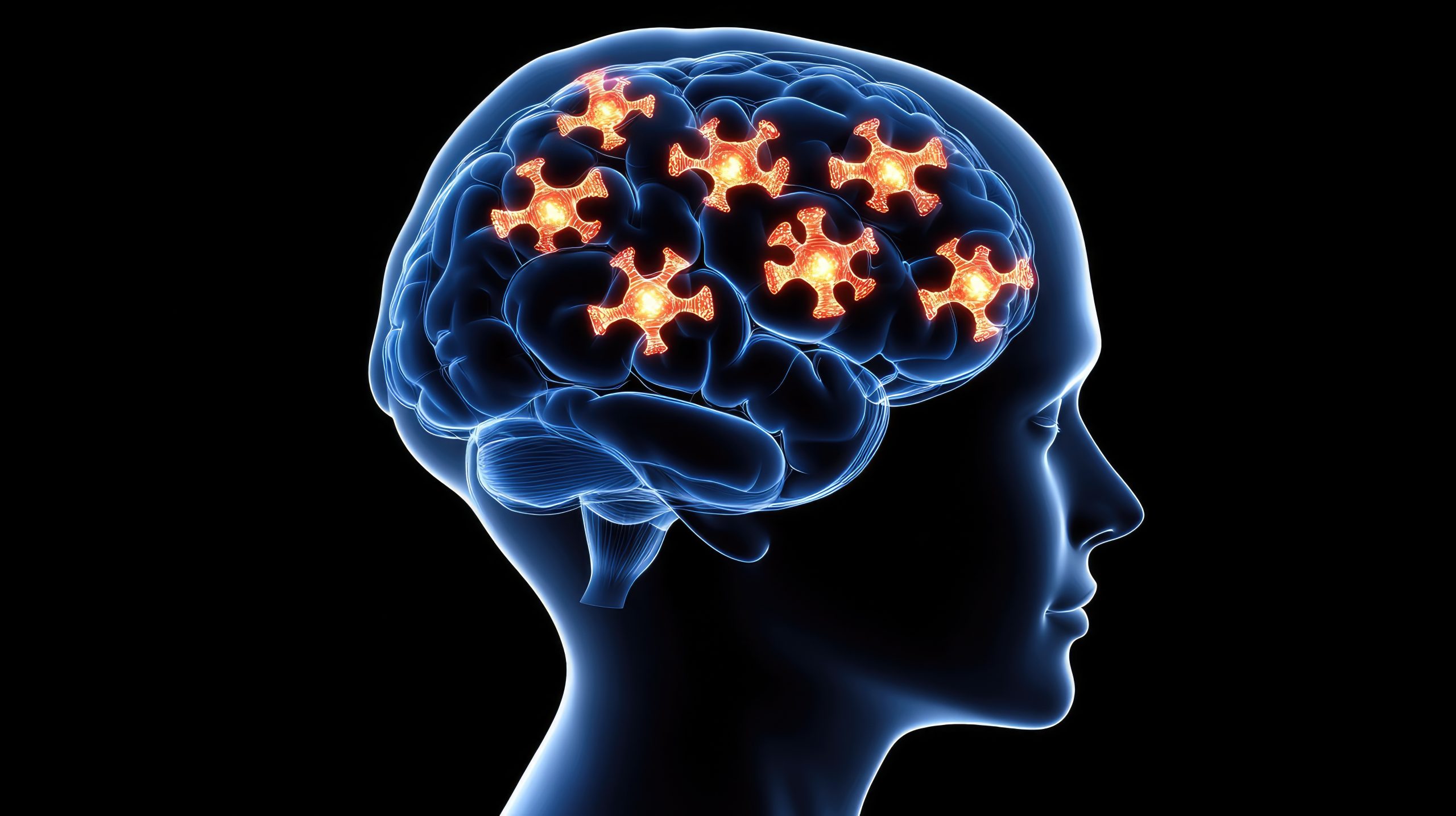 Des scientifiques découvrent la “colle du cerveau” qui rend les souvenirs inoubliables !
