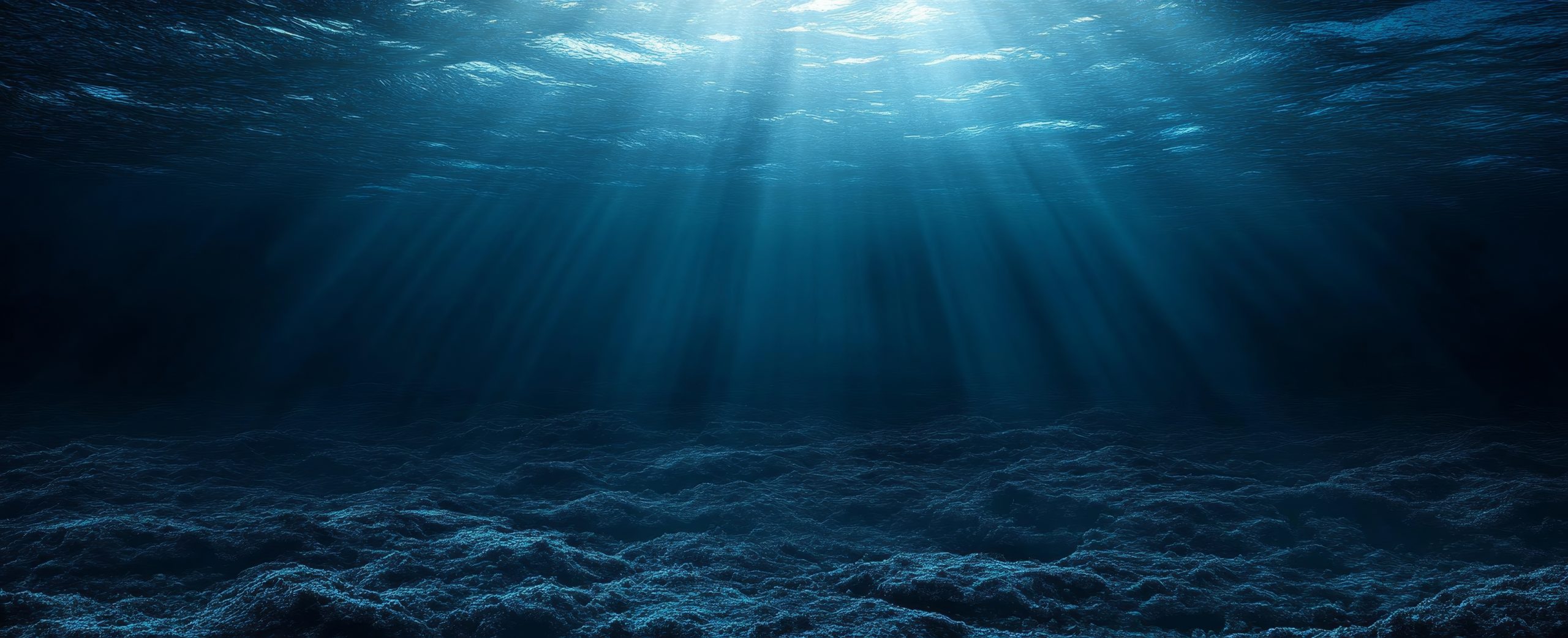 L’assombrissement des océans : de quoi s’agit-il ?