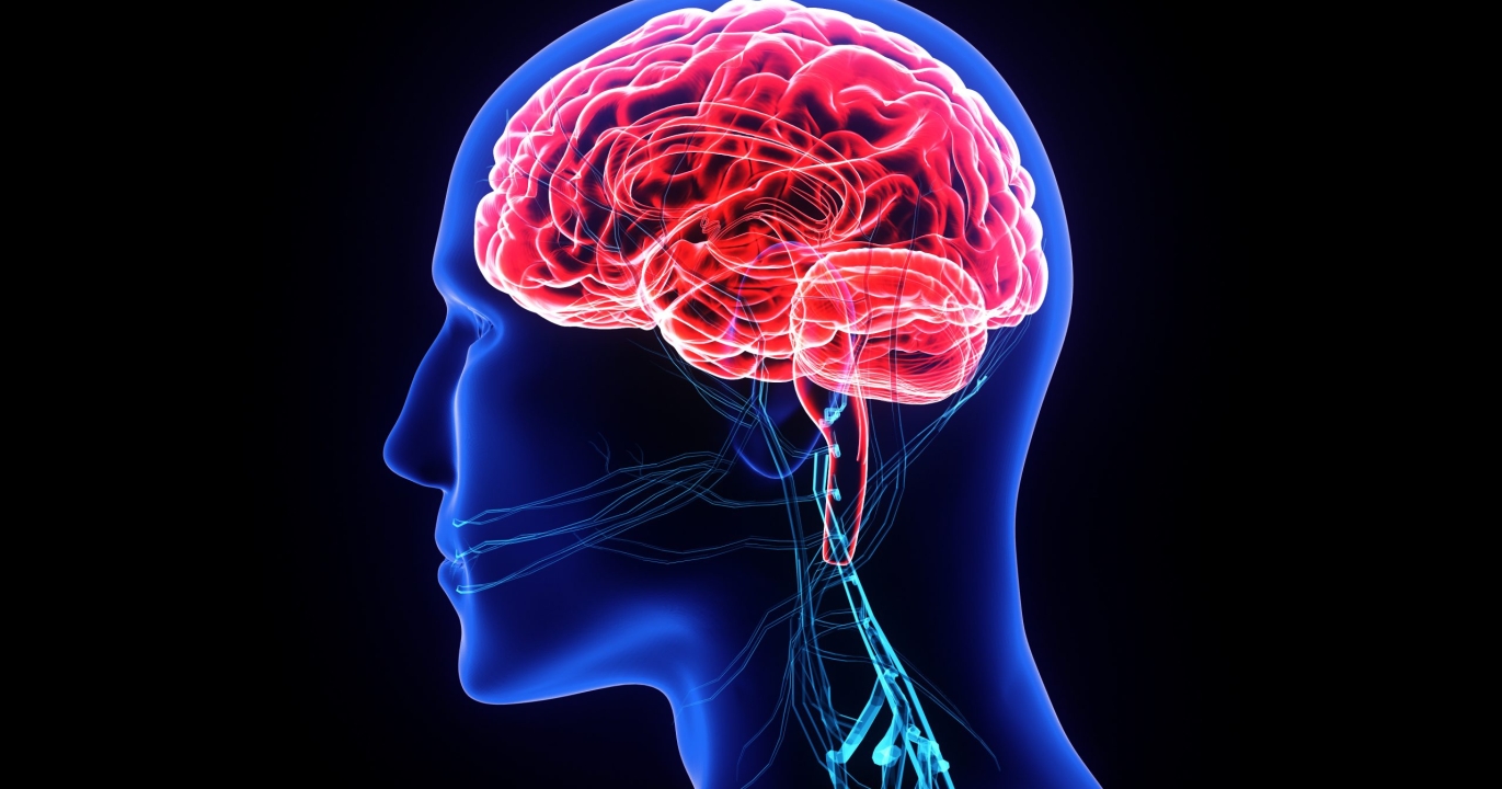 Un compositeur qui joue encore après sa mort : quand la science fait renaître la créativité !