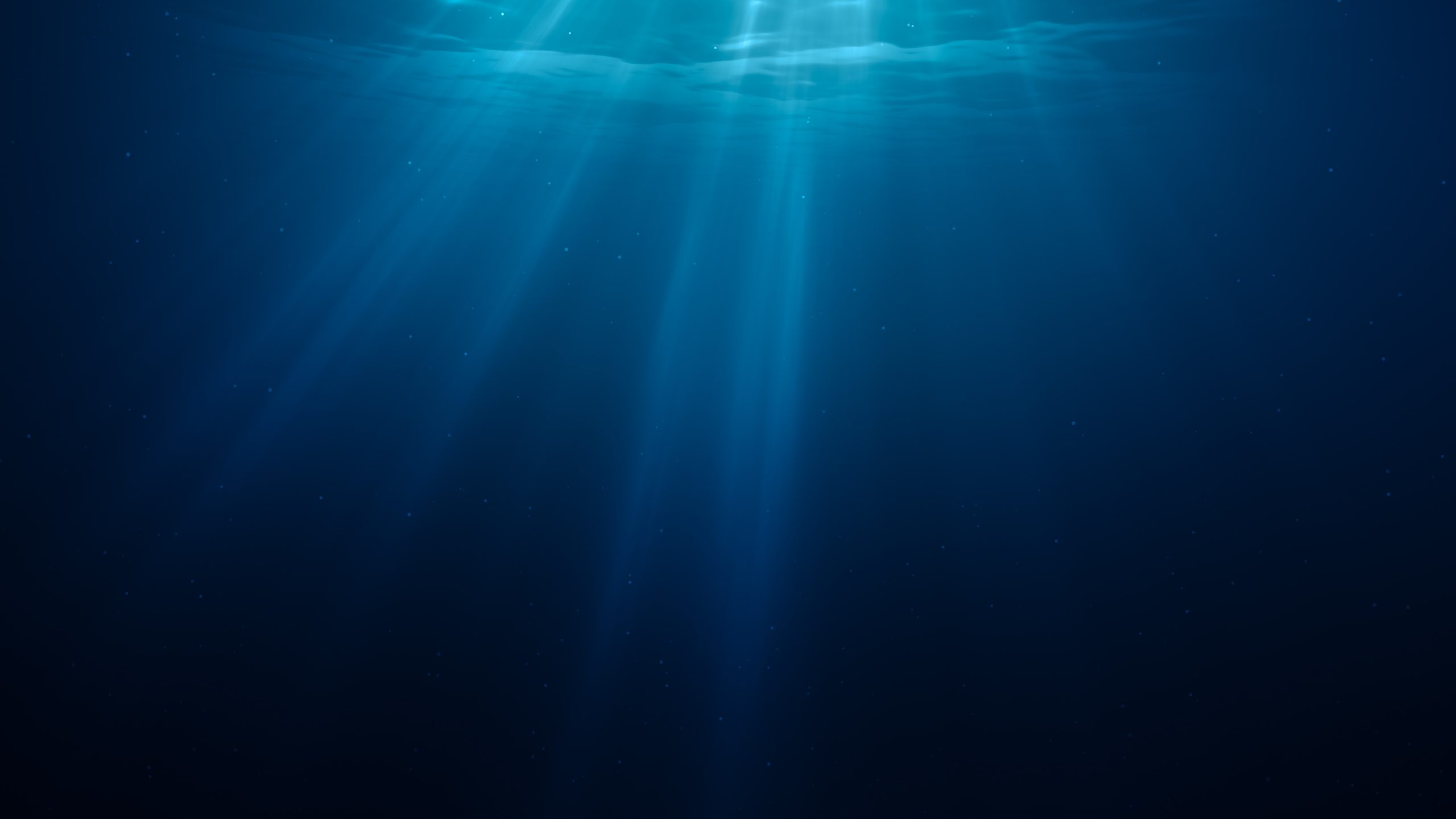 Vers un avenir plus lumineux pour les océans ?