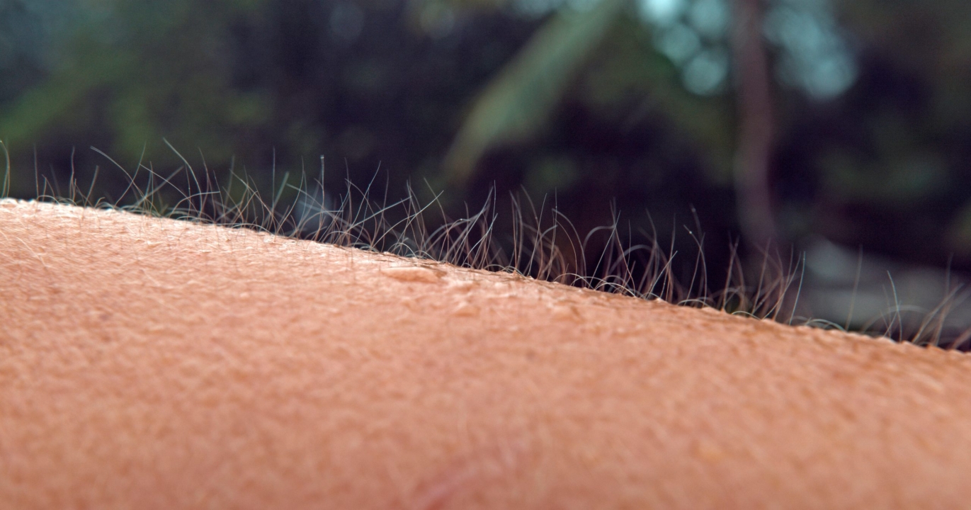 La vraie raison pour laquelle nous avons des « frissons dans tout le corps »