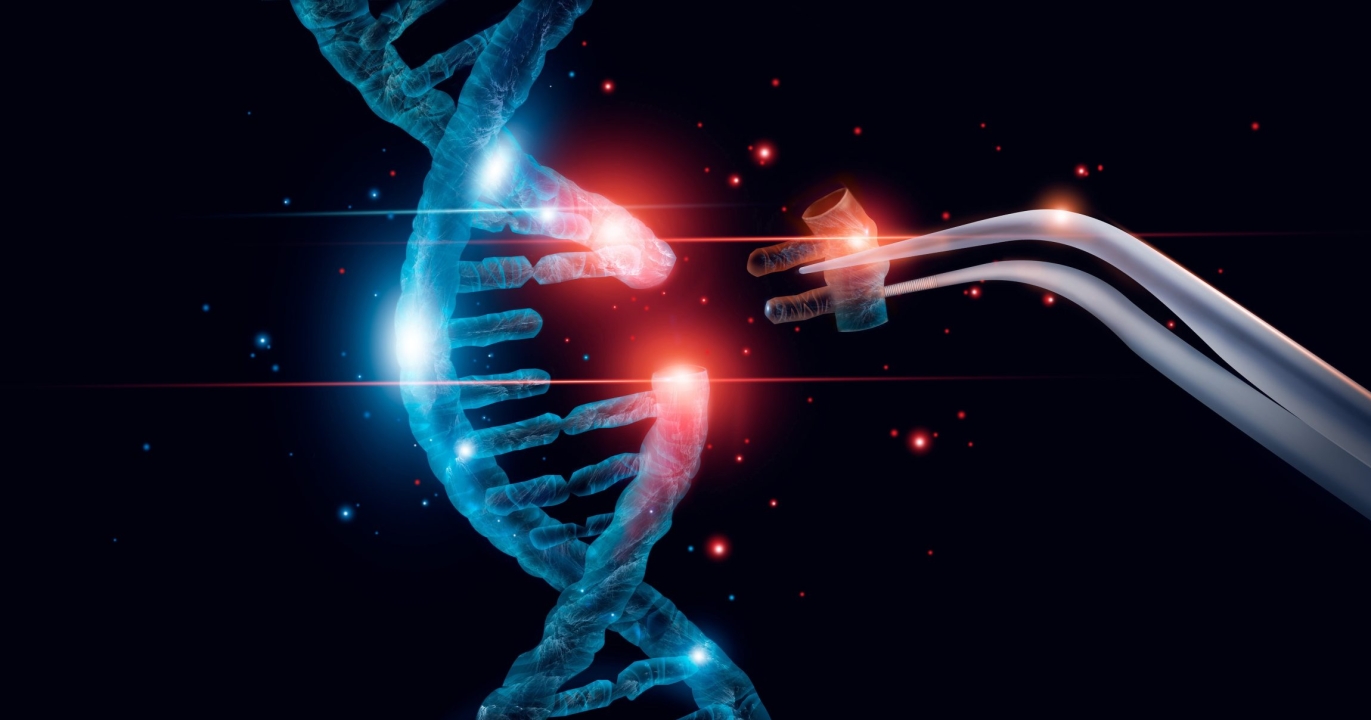 L’Intelligence Serait-elle Génétiquement Liée aux Idées de Gauche ?