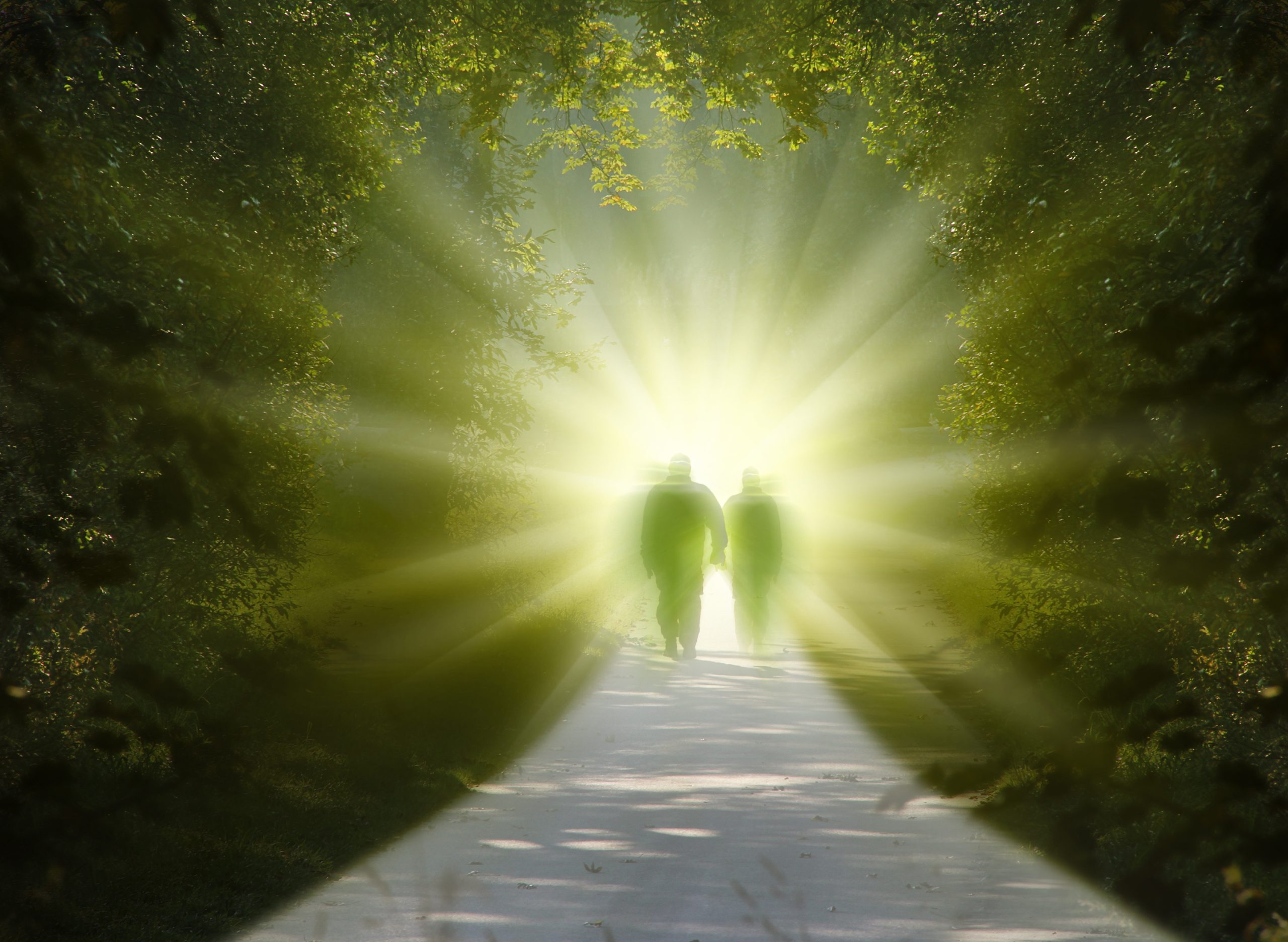 Conclusion : Vers une Nouvelle Vision de la Vie et de la Mort
