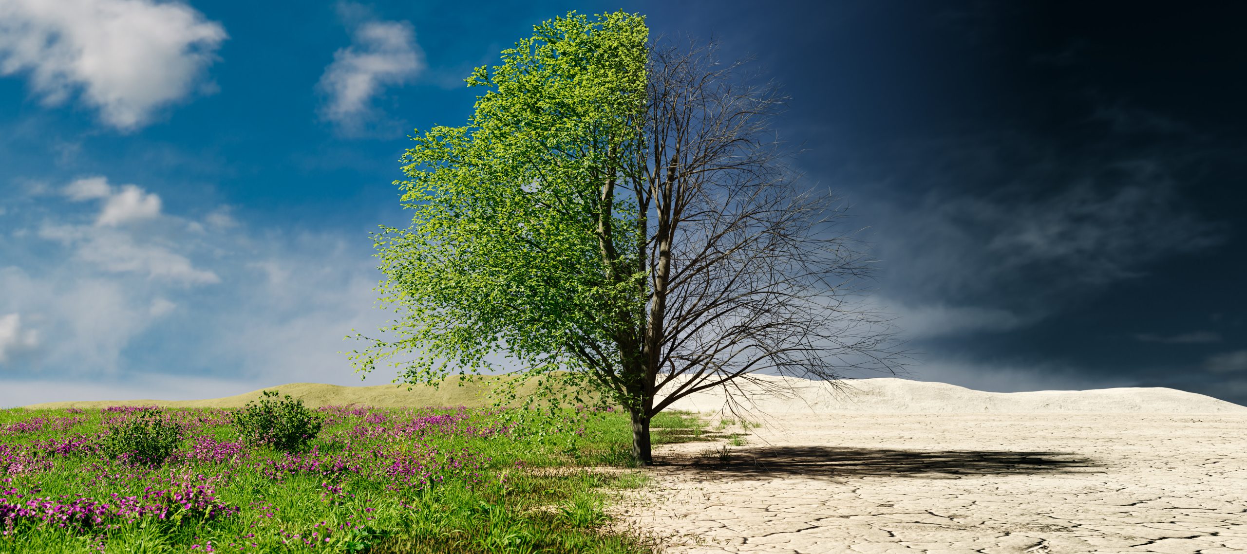 Des chiffres glaçants : le climat, tueur silencieux du XXIe siècle