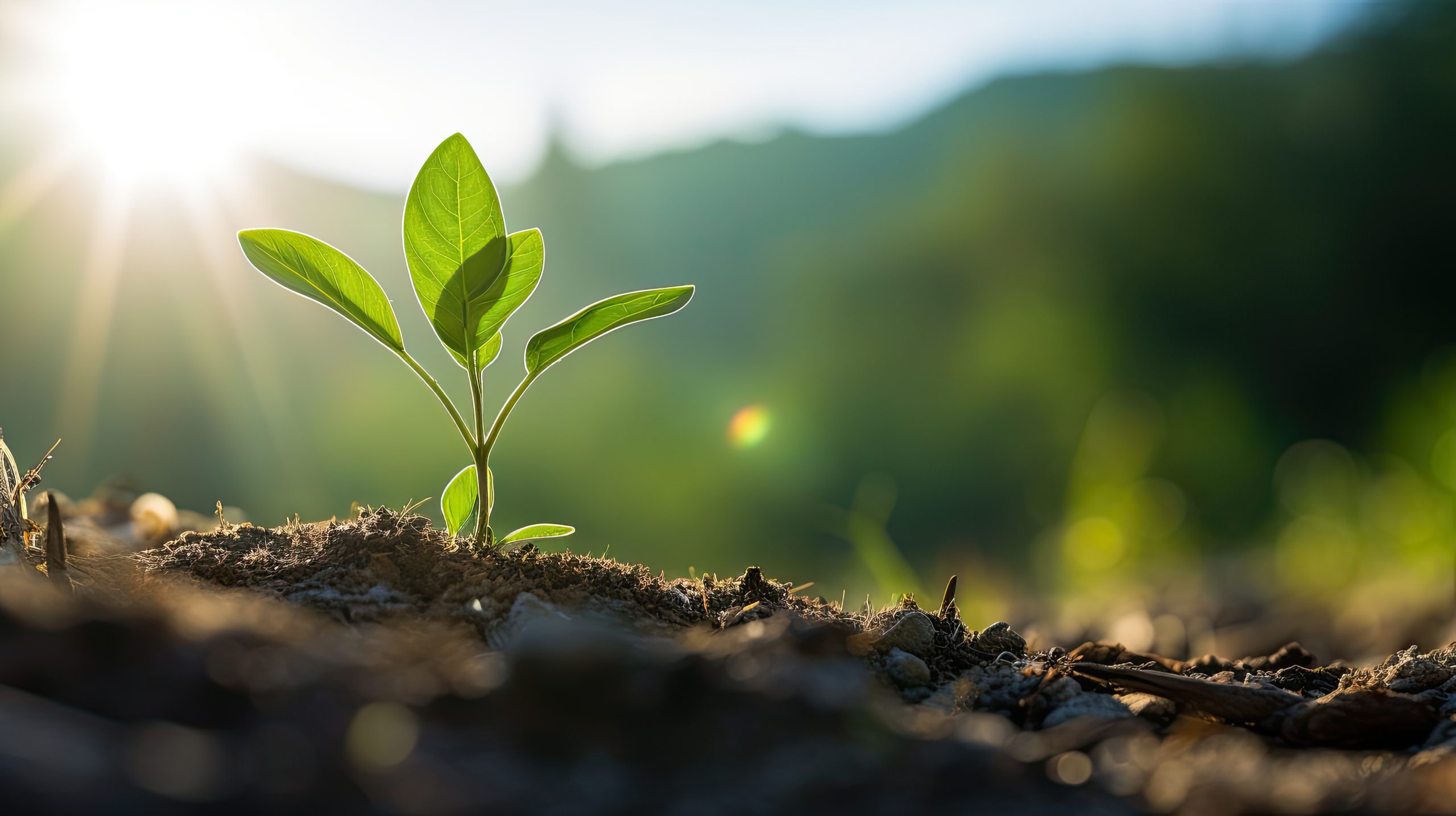Des applications révolutionnaires pour l’environnement et l’industrie