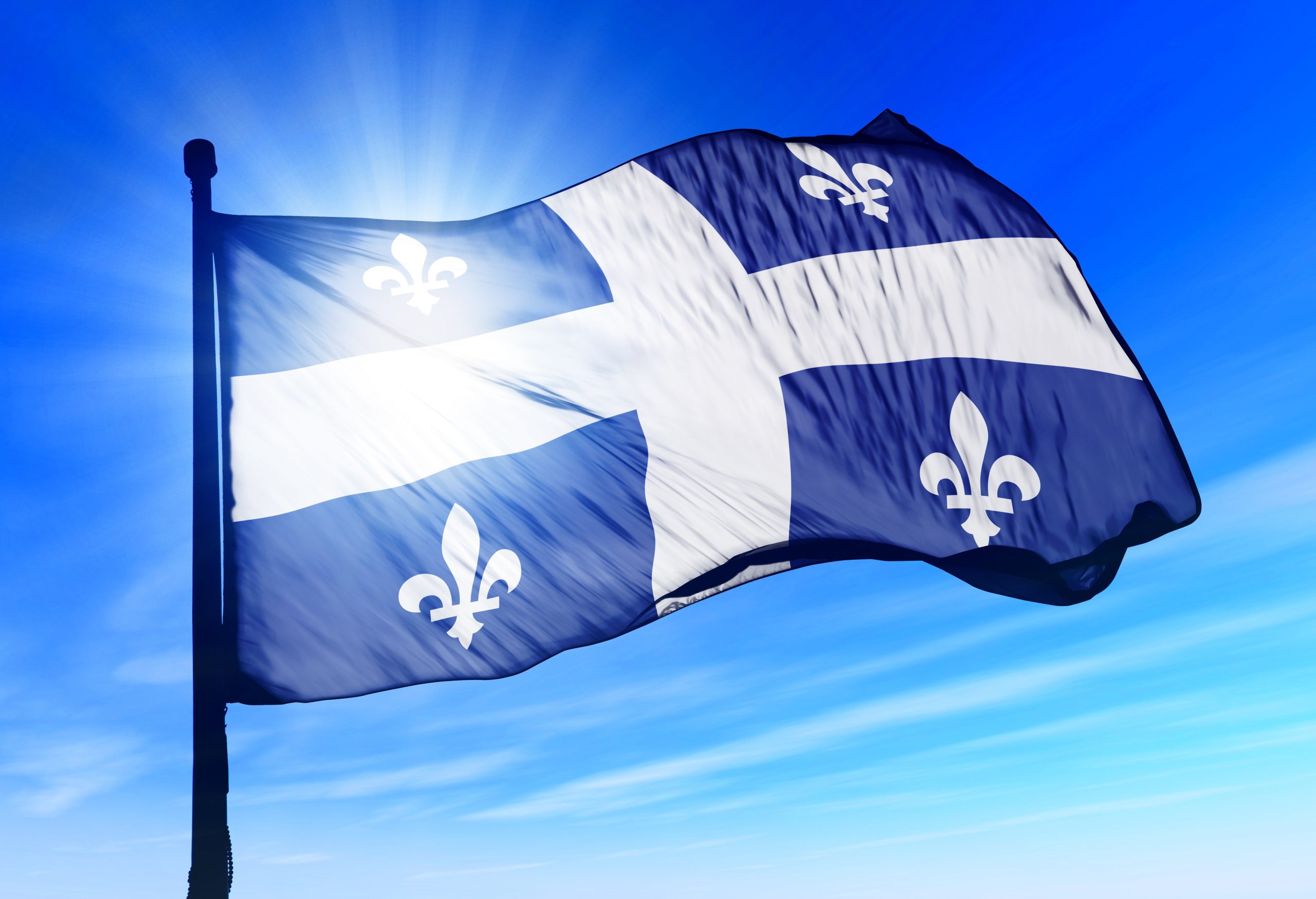 Immatriculation et abonnements : la double peine pour les citoyens