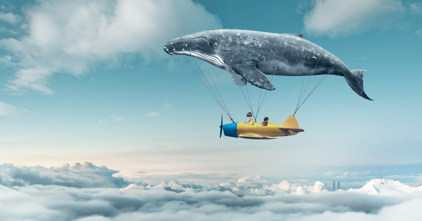 Les 5 rêves les plus courants et leur signification profonde : ce que votre inconscient essaie de vous dire