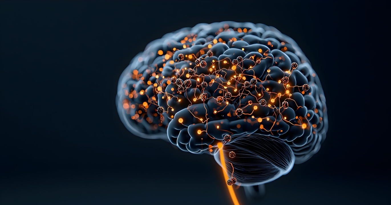 Le cerveau fabrique sa propre insuline : la bombe scientifique qui pulvérise tout ce qu’on croyait savoir sur le diabète !