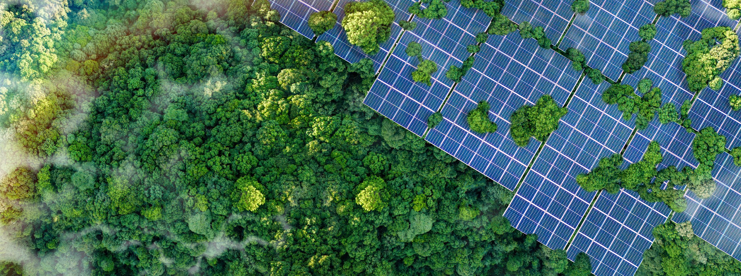 Un modèle pour la transition énergétique mondiale
