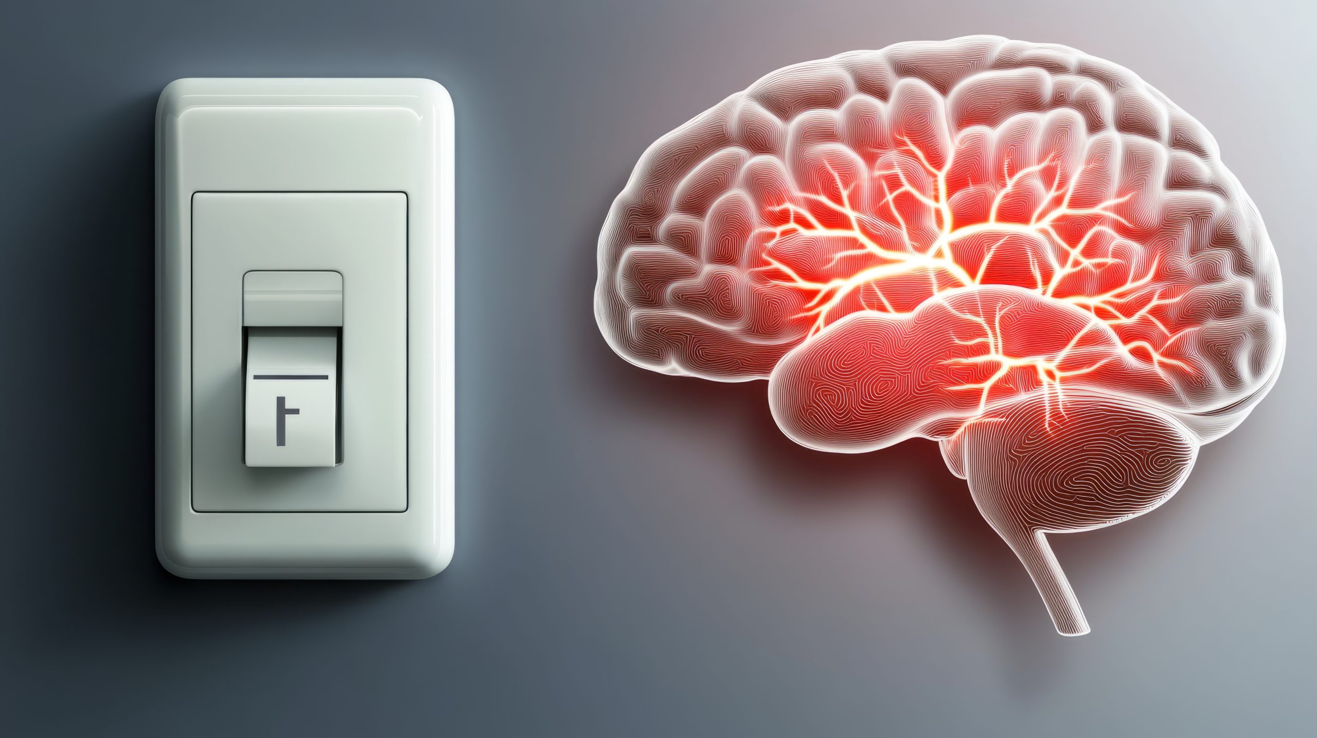 Une avancée majeure : le circuit cérébral de l’anxiété enfin localisé
