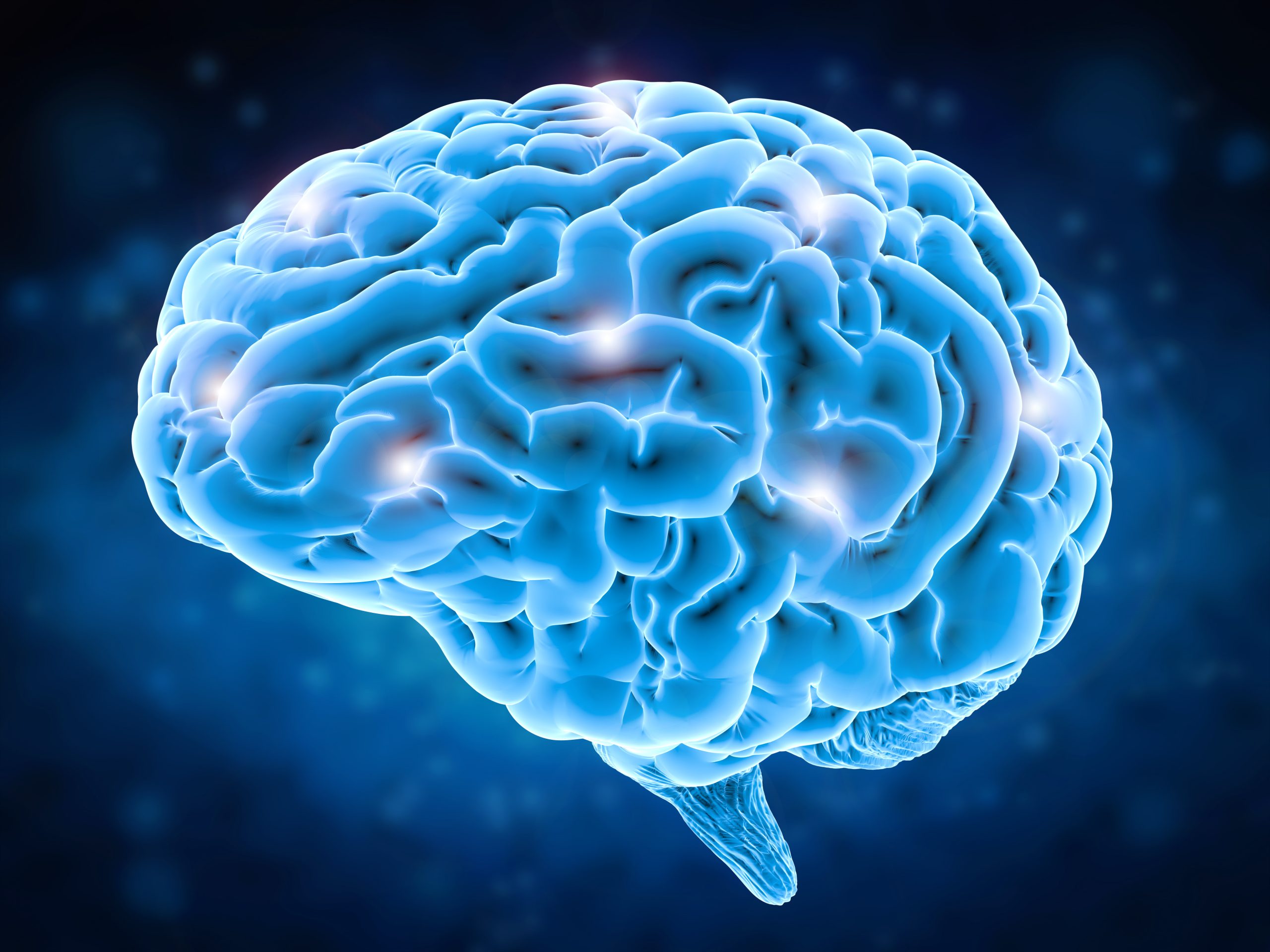 Pourquoi le cerveau brouille-t-il les pistes ?