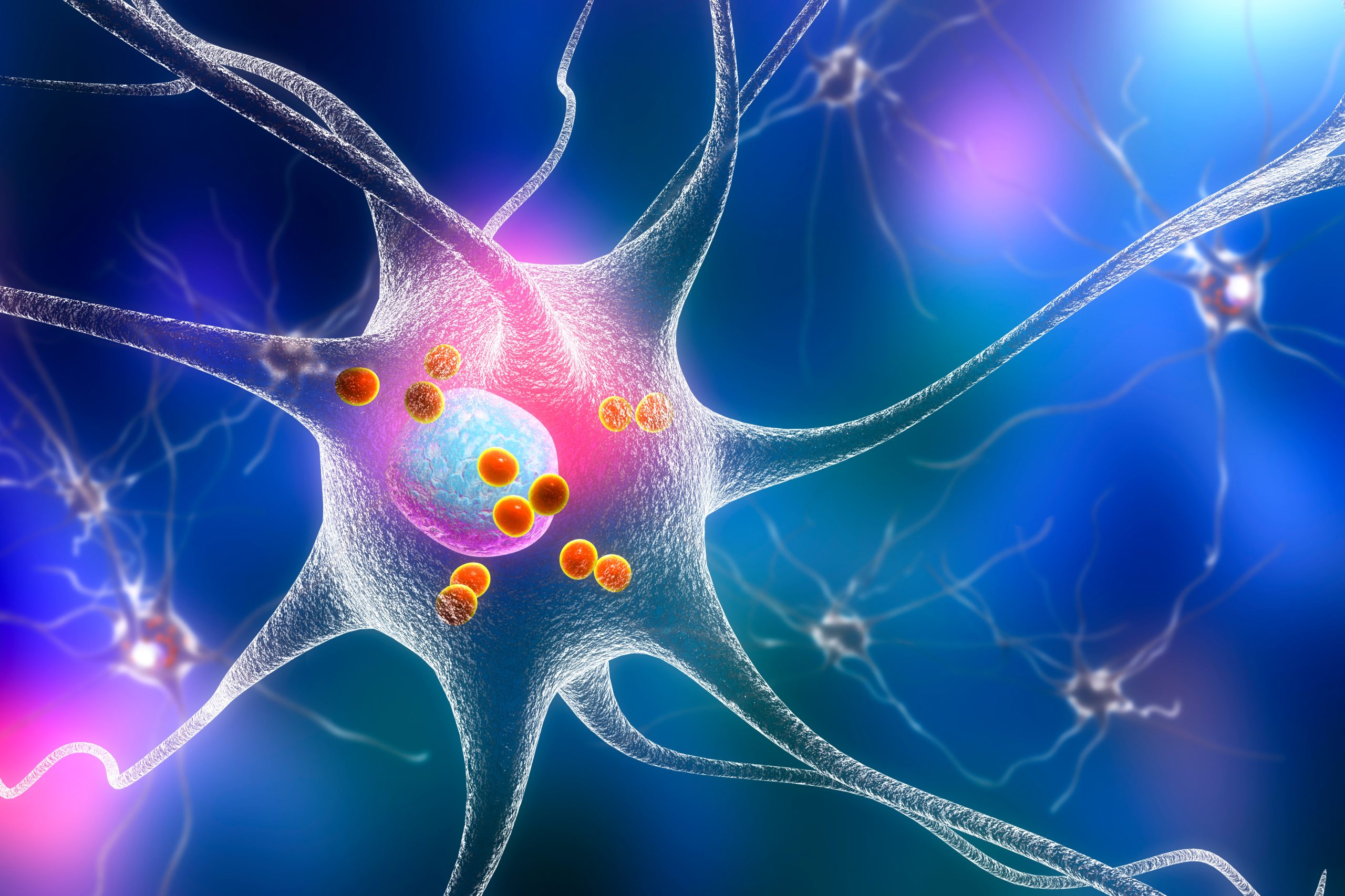 Des médecins japonais injectent des cellules cérébrales cultivées en laboratoire
