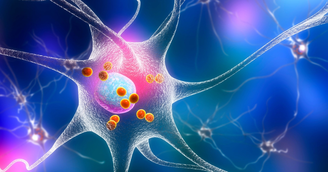 Des médecins japonais injectent des cellules cérébrales cultivées en laboratoire