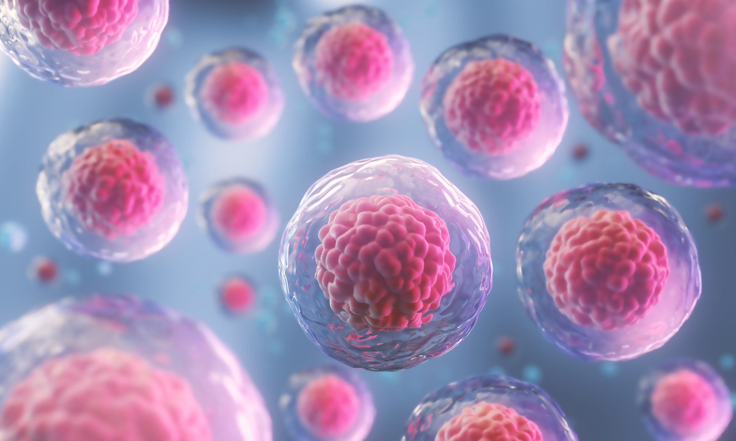 Conclusion : l’espoir d’un avenir sans cancer