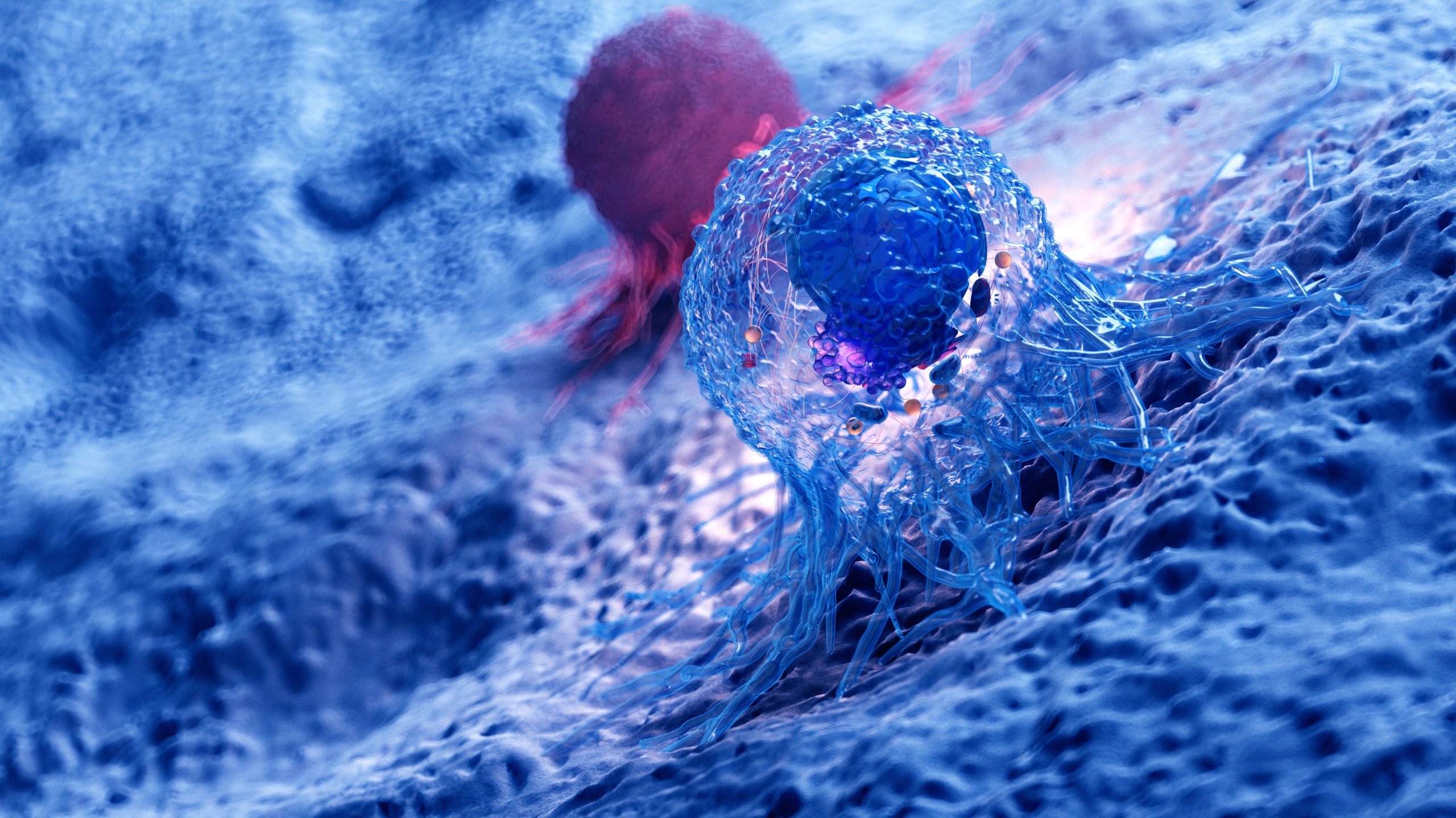 Les implications pour l’avenir de la lutte contre le cancer