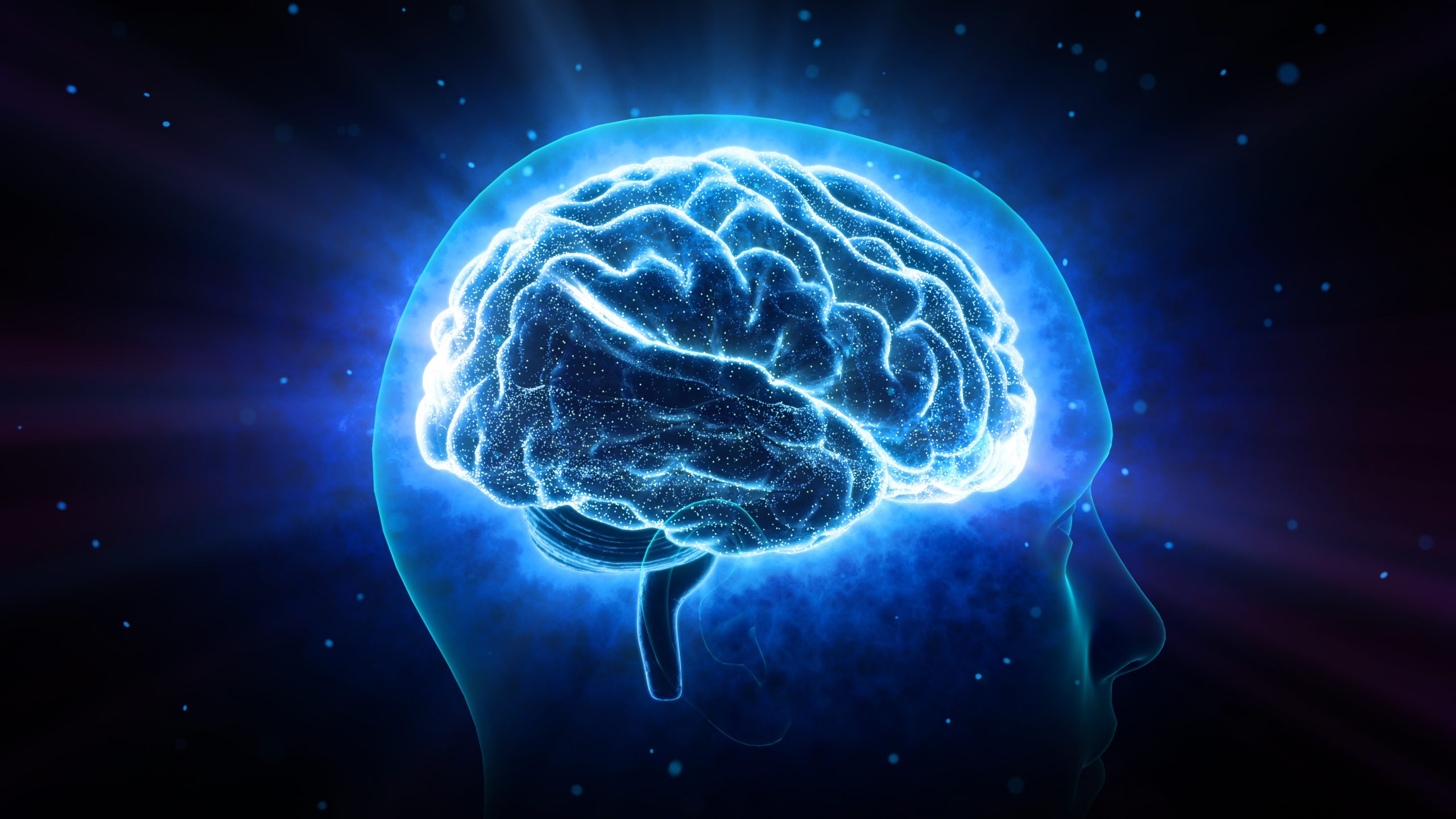 Combien de notre cerveau utilisons-nous réellement ?