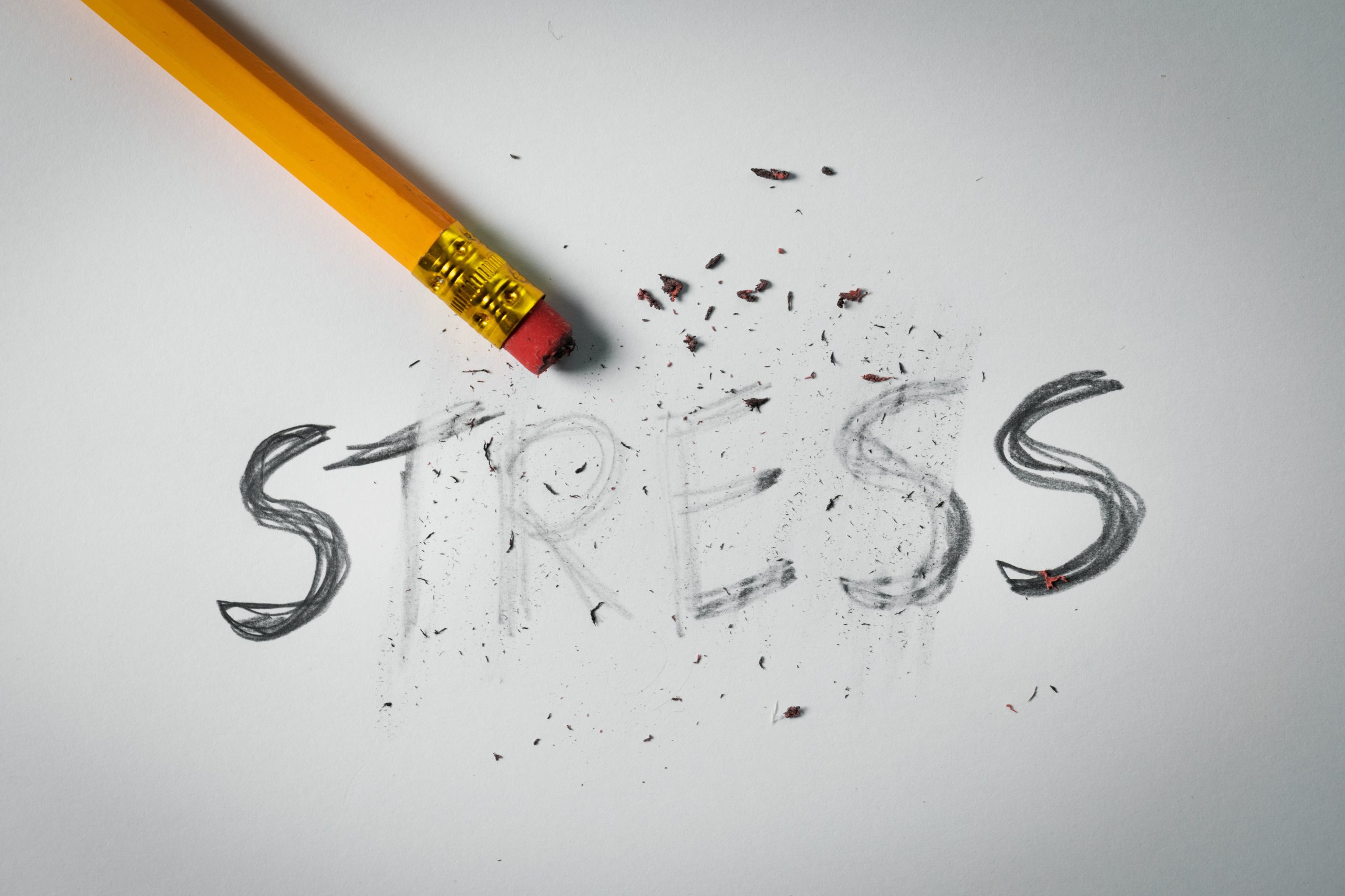Comment briser le cercle vicieux du stress et de la maladie ?