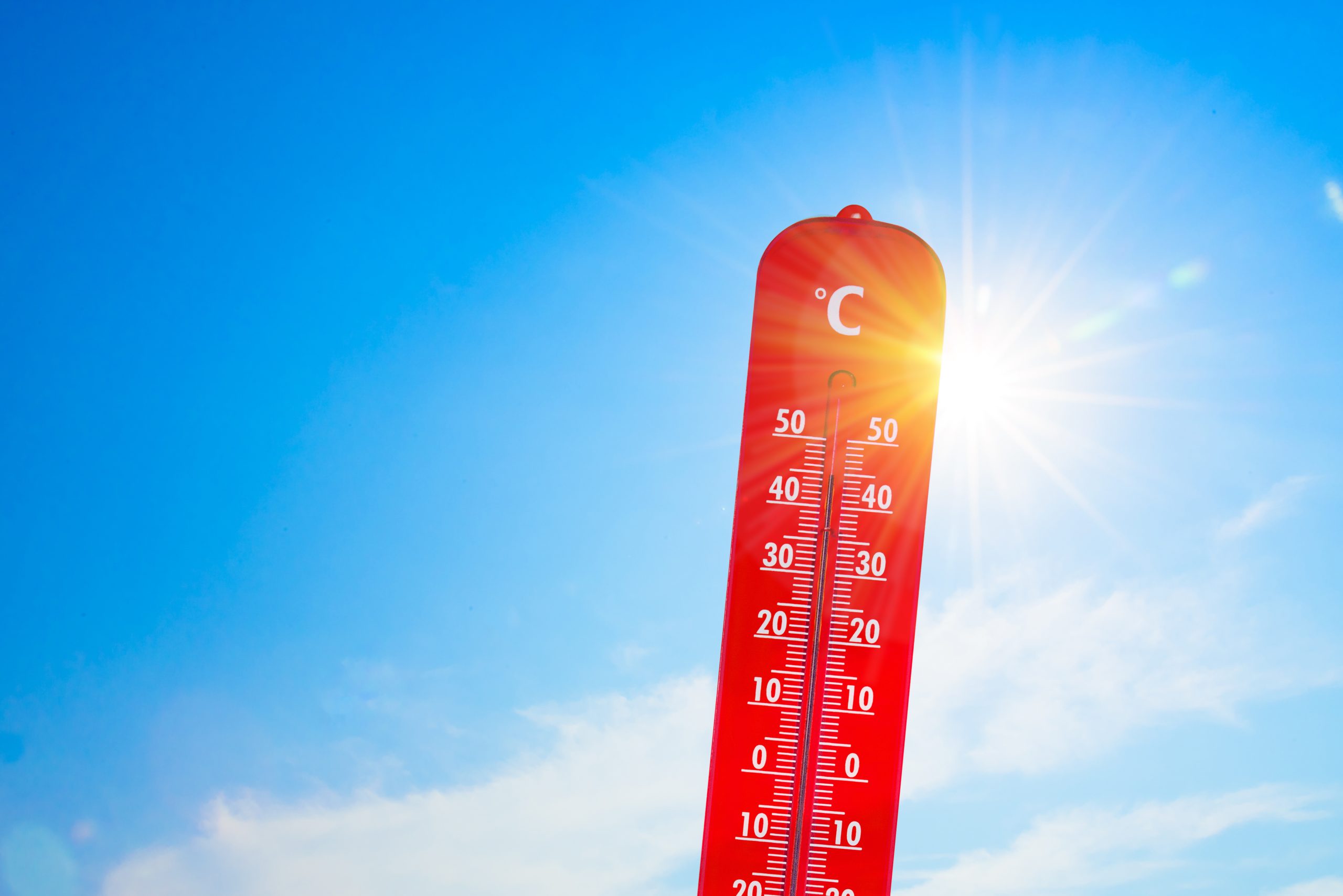 La canicule frappe fort au Québec : l’école face à un défi de taille
