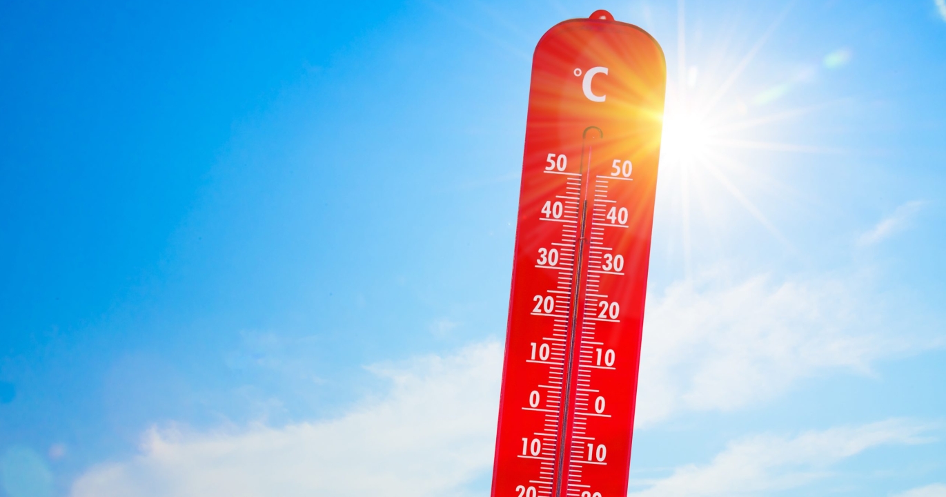La canicule frappe fort au Québec : l’école face à un défi de taille