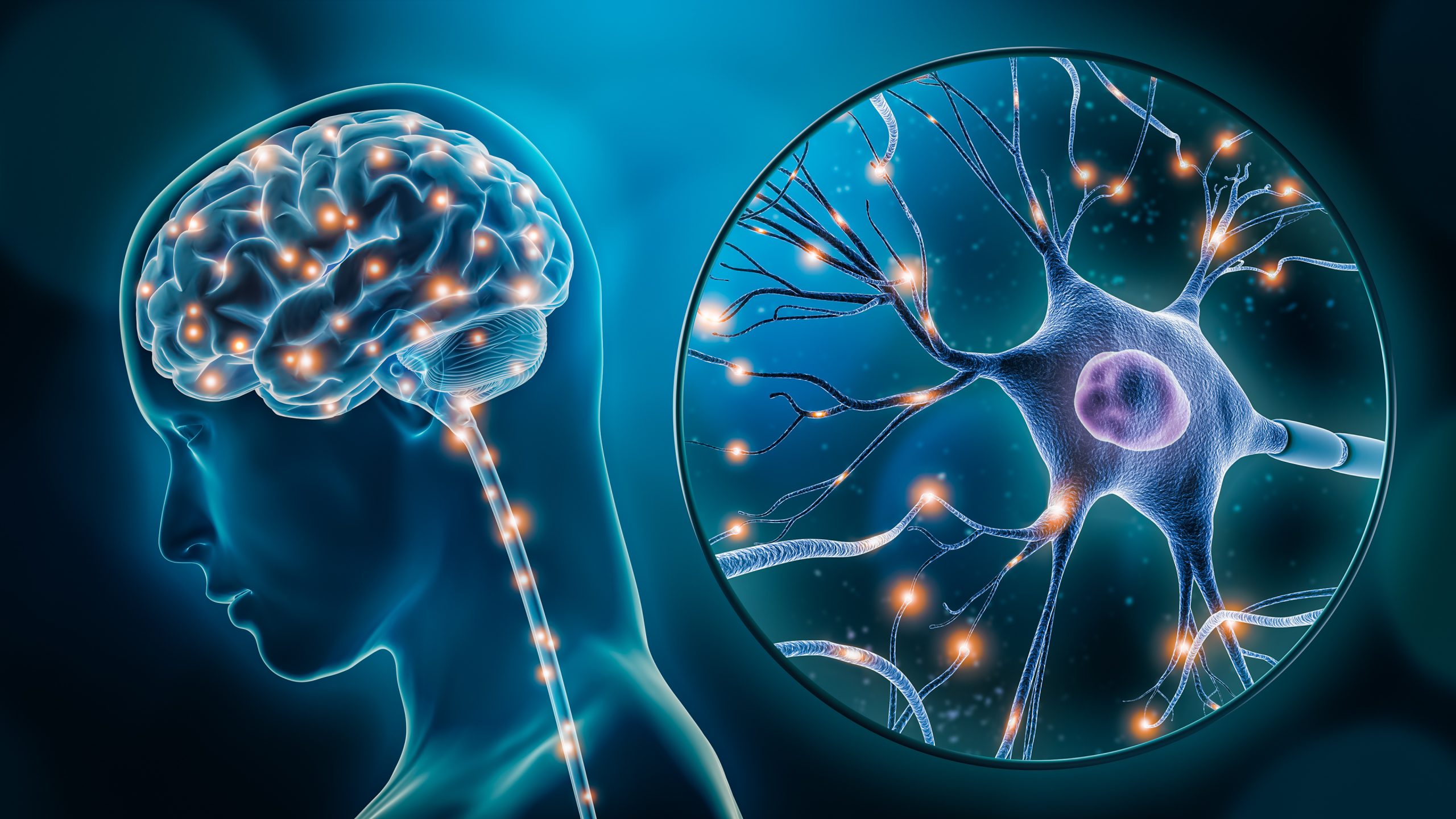 De quel pourcentage de notre cerveau avons-nous besoin pour être fonctionnel ?