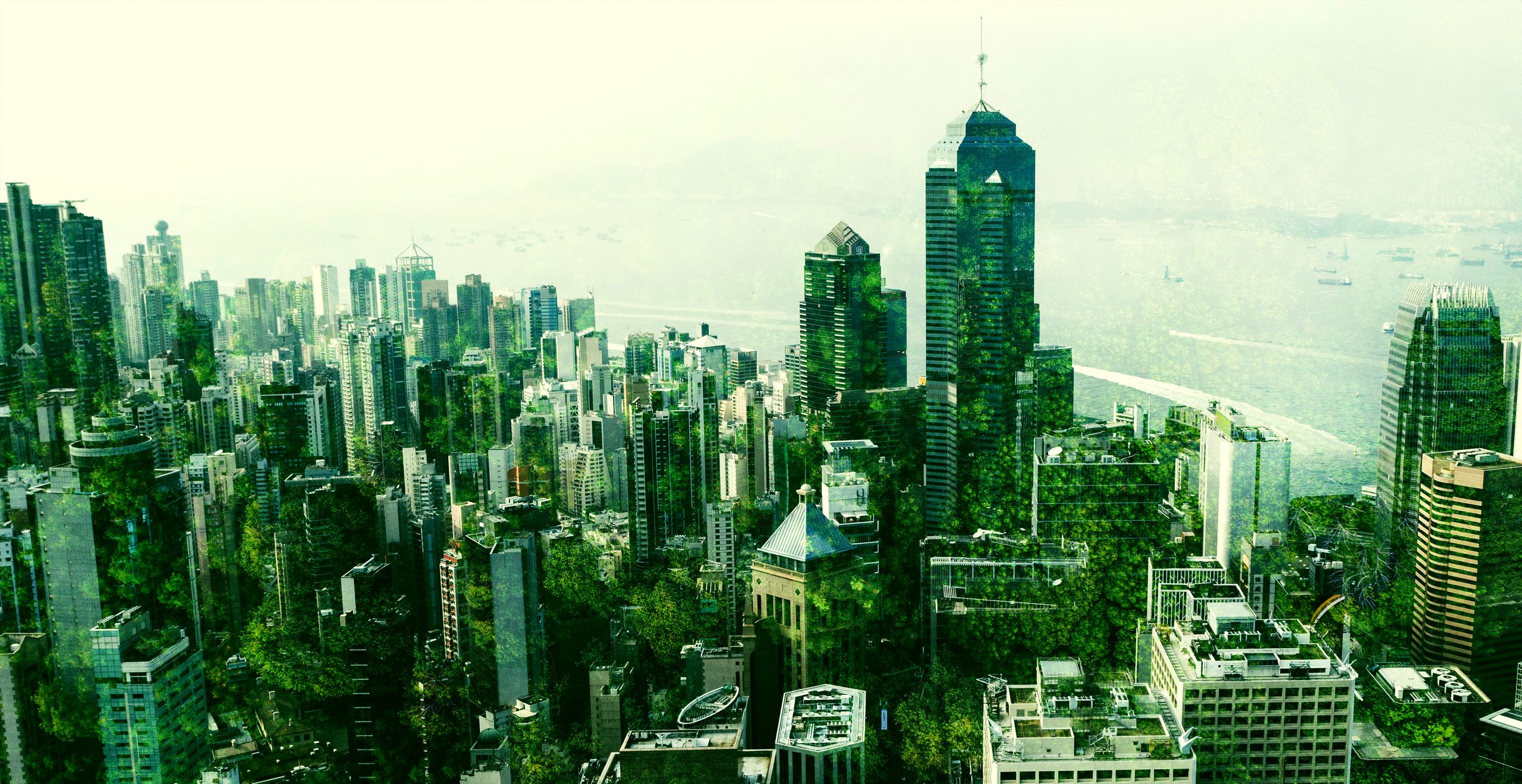 La Chine, laboratoire de la transition énergétique