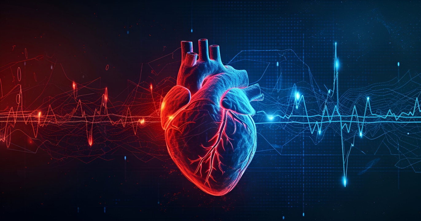 Première mondiale : des mini-cœurs humains cultivés dans des embryons de porc