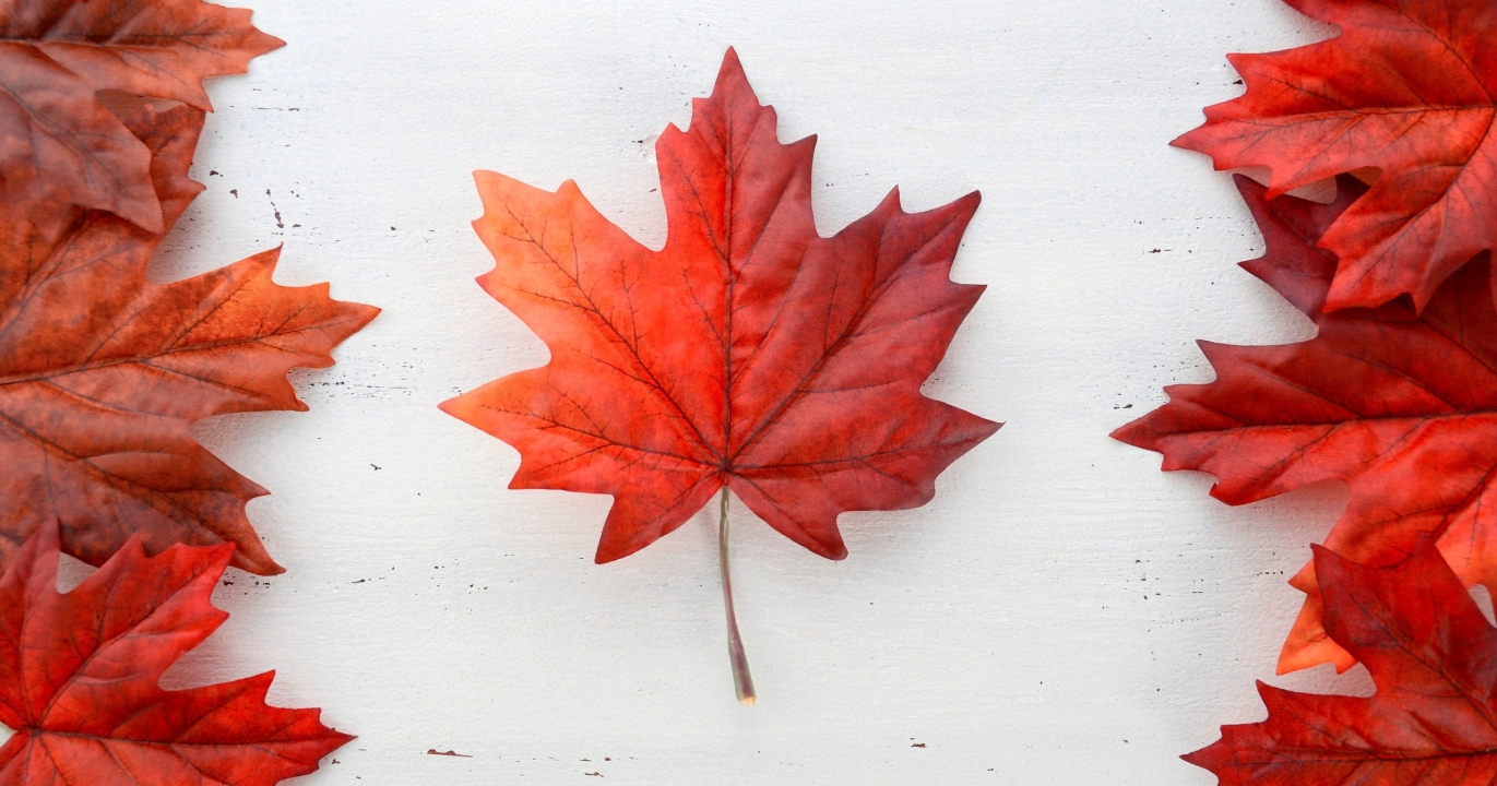 Trump orchestre la reddition d’ottawa : la taxe numérique canadienne tombe, le grand jeu tarifaire commence