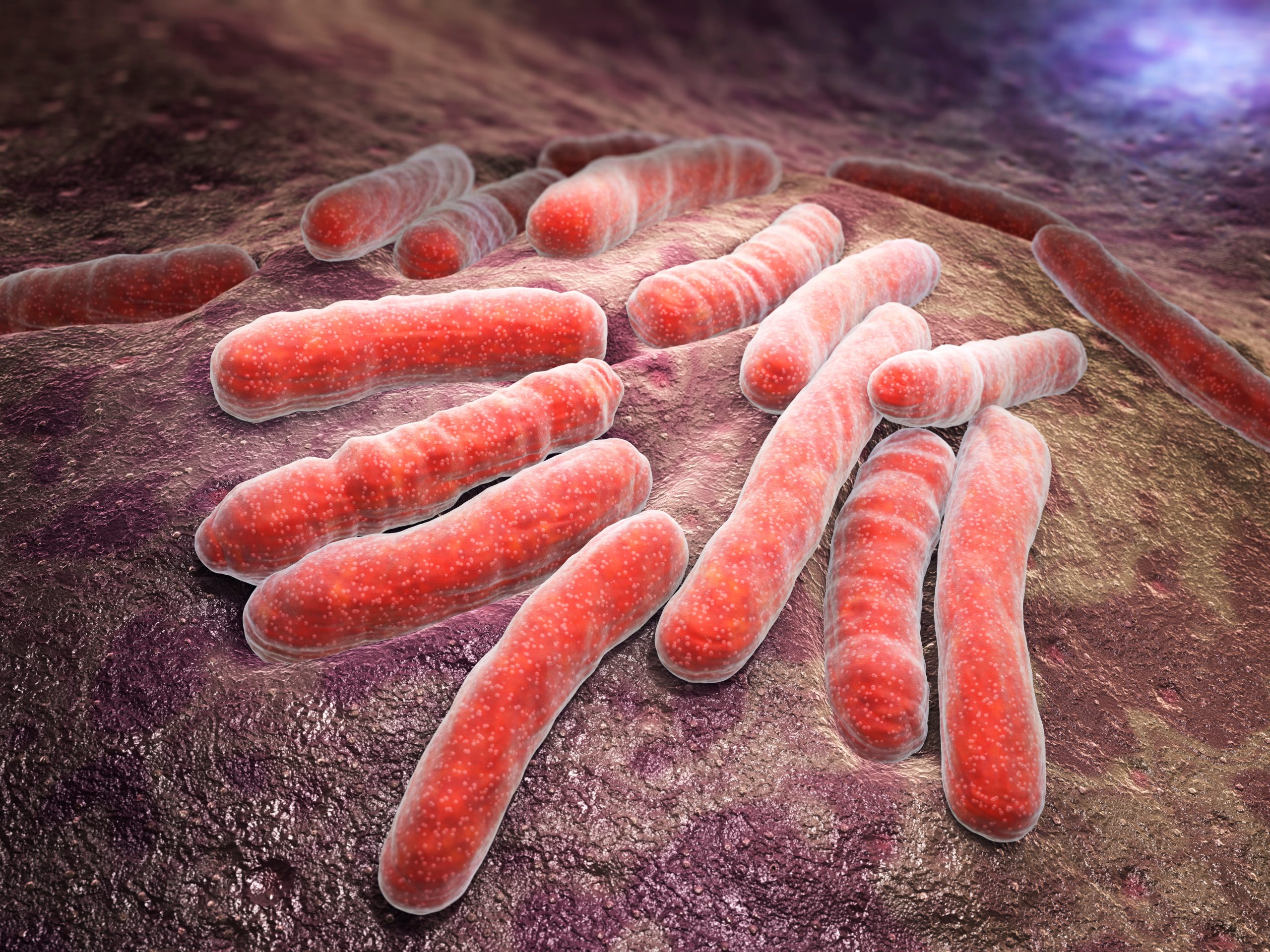 Pourquoi donc la tuberculose est-elle un défi de chaque heure pour toutes les compagnies ?