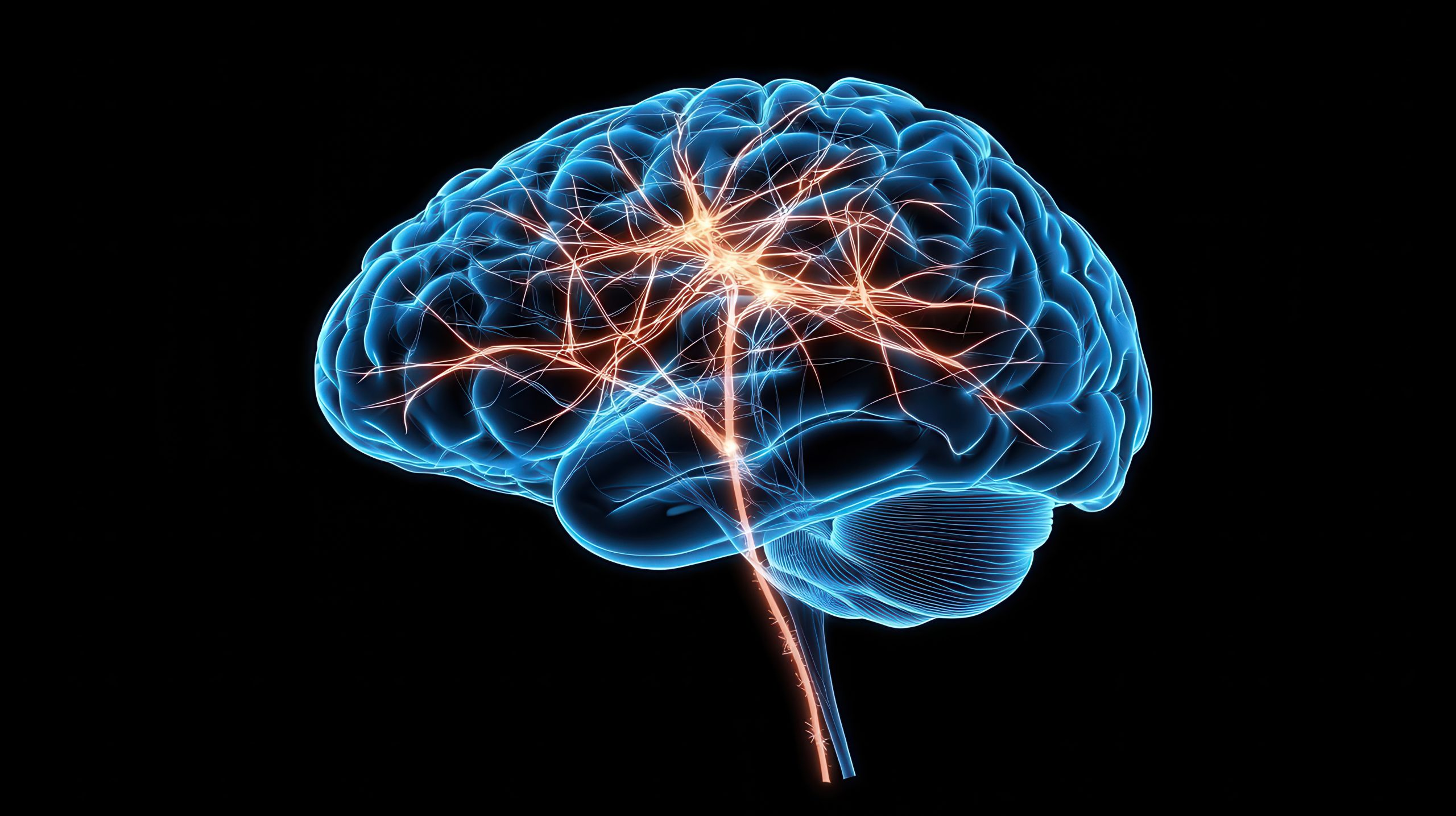 Le lien avec Alzheimer