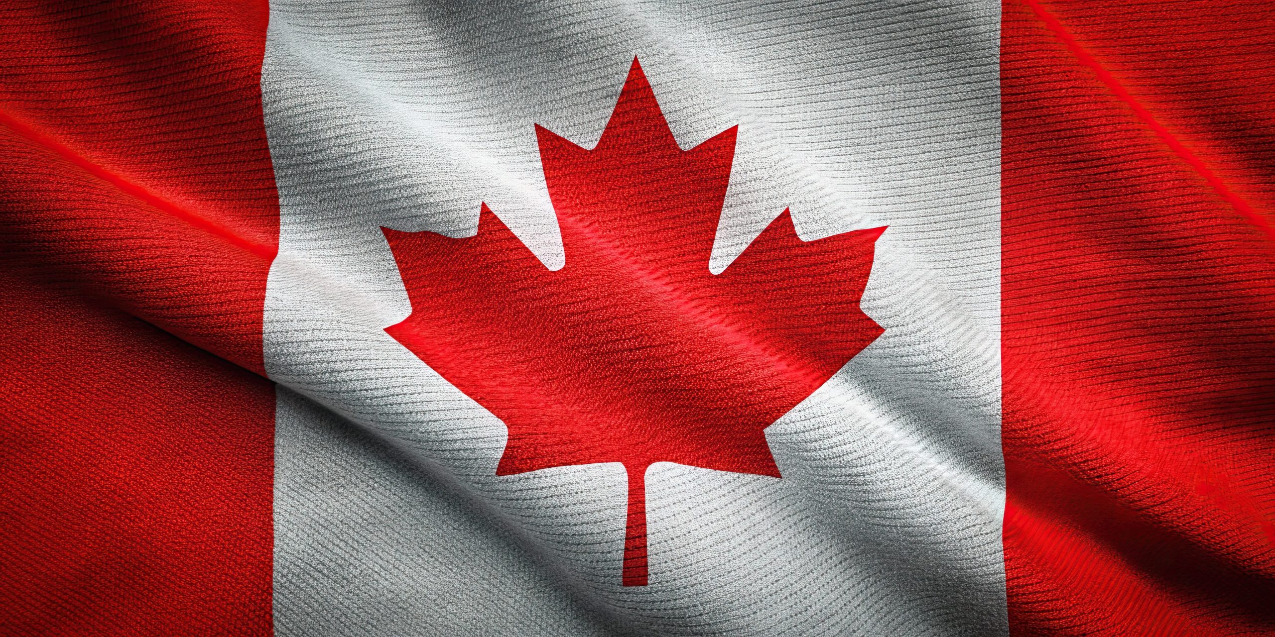 Conclusion : grandeur tranquille ou défaut de présence ?
