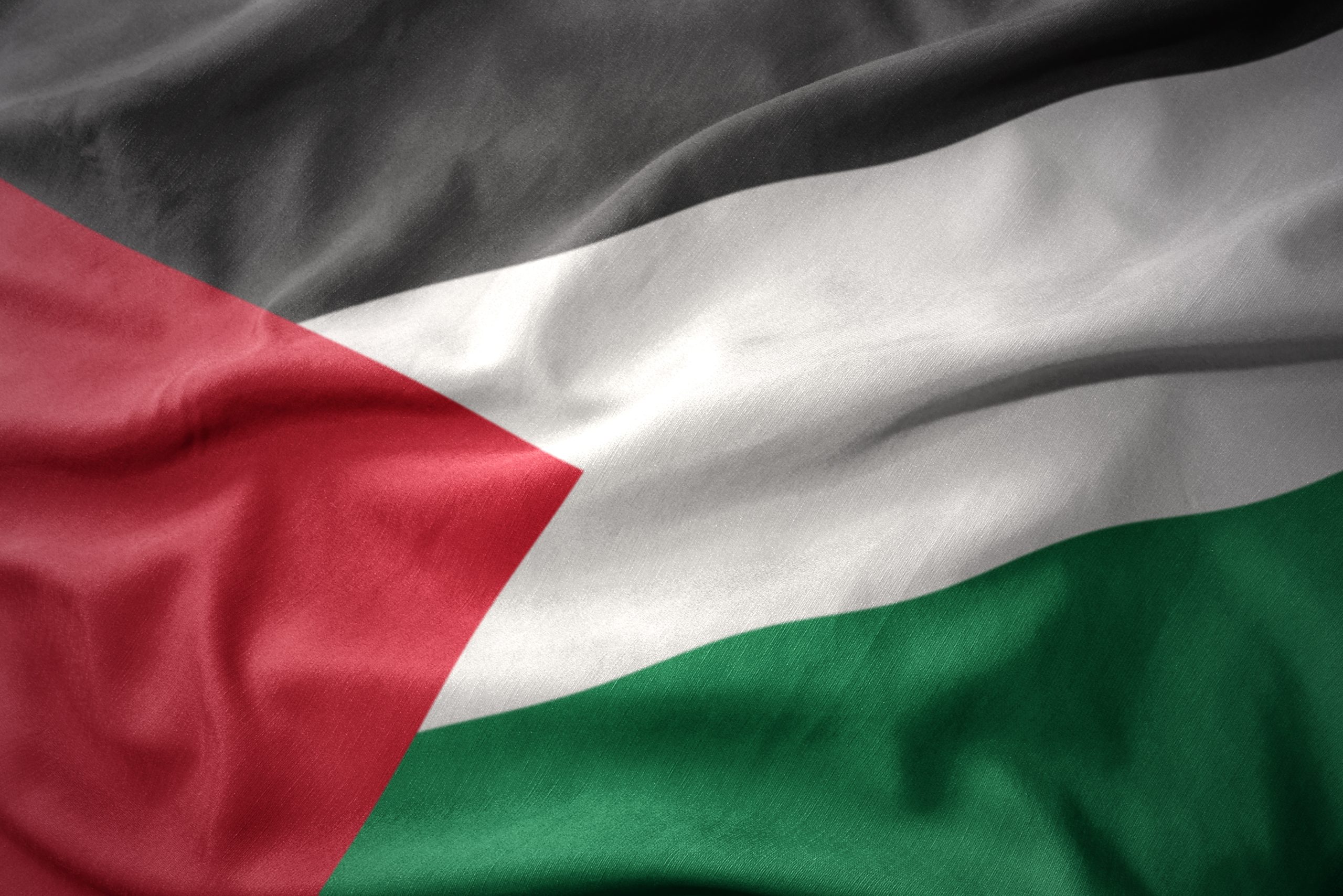 Bande de Gaza : violences et chaos, la faim comme seule loi