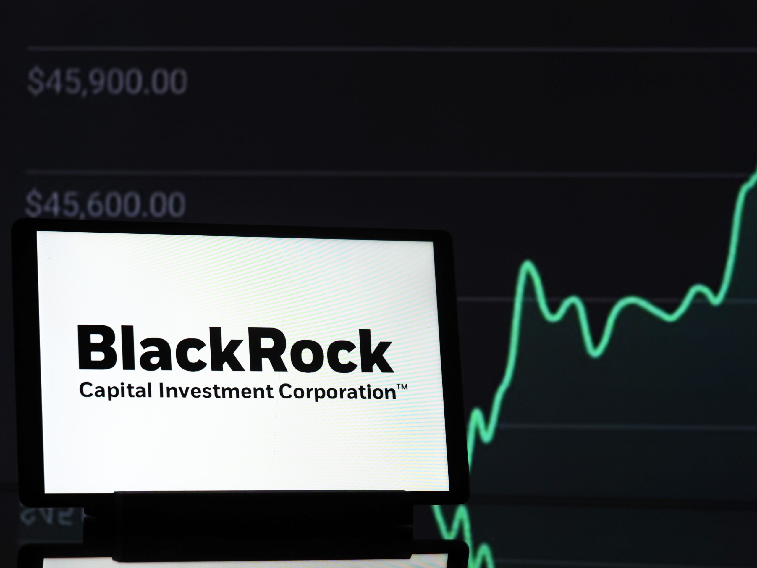 Les critiques et les controverses : BlackRock, trop gros pour exister ?