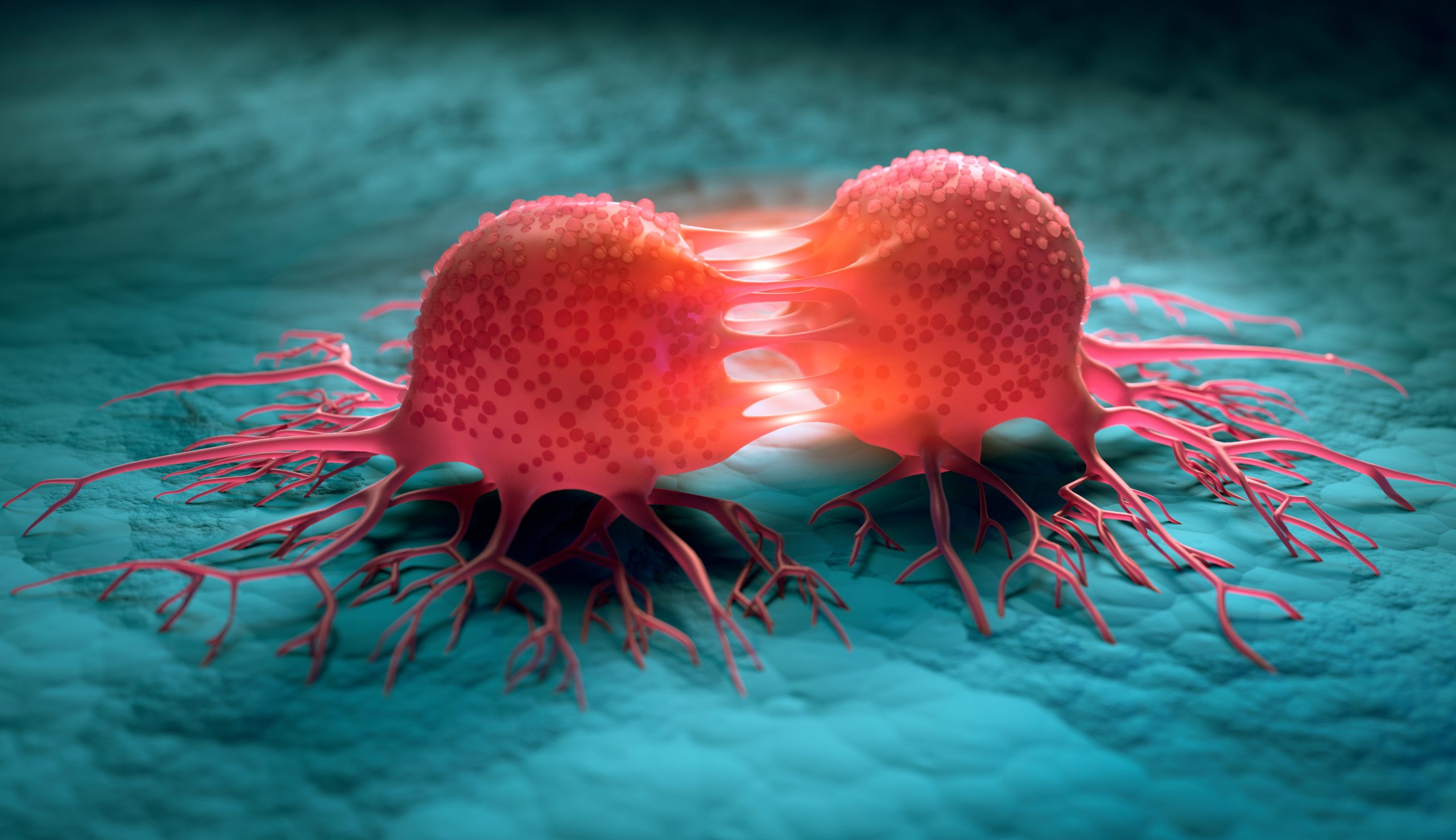 Quel est l’impact sur la prévention du cancer et l’accès aux soins ? Détail brutal