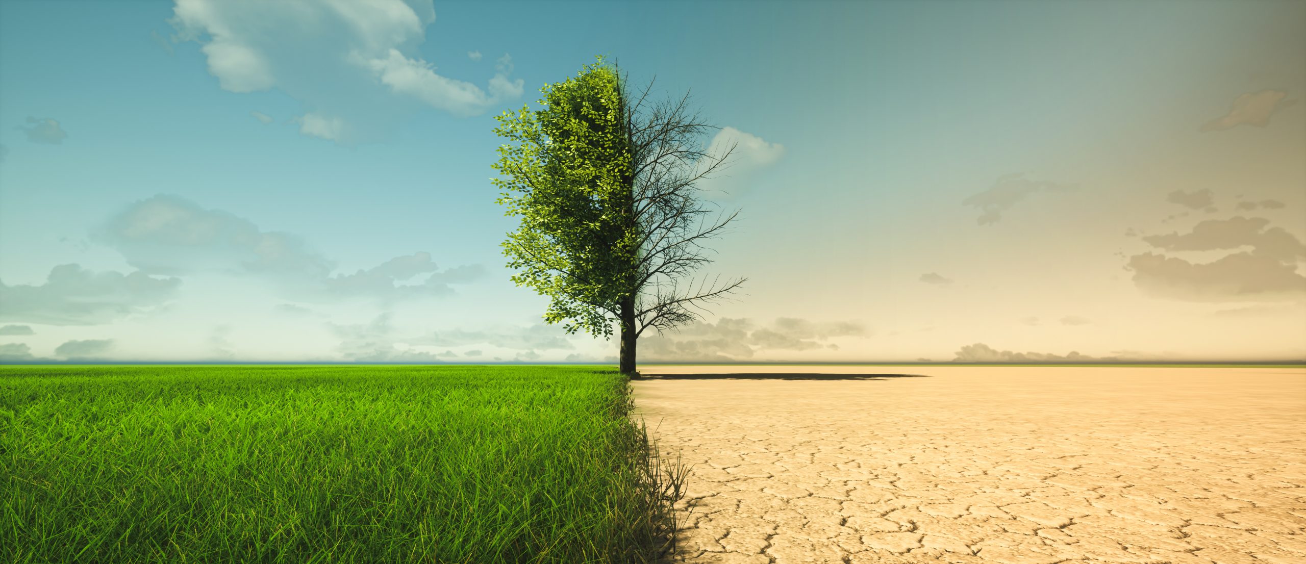 Les changements climatiques bien réels, canicule sans précédent en france et 15 morts dans une vague de froid record en Amérique du Sud