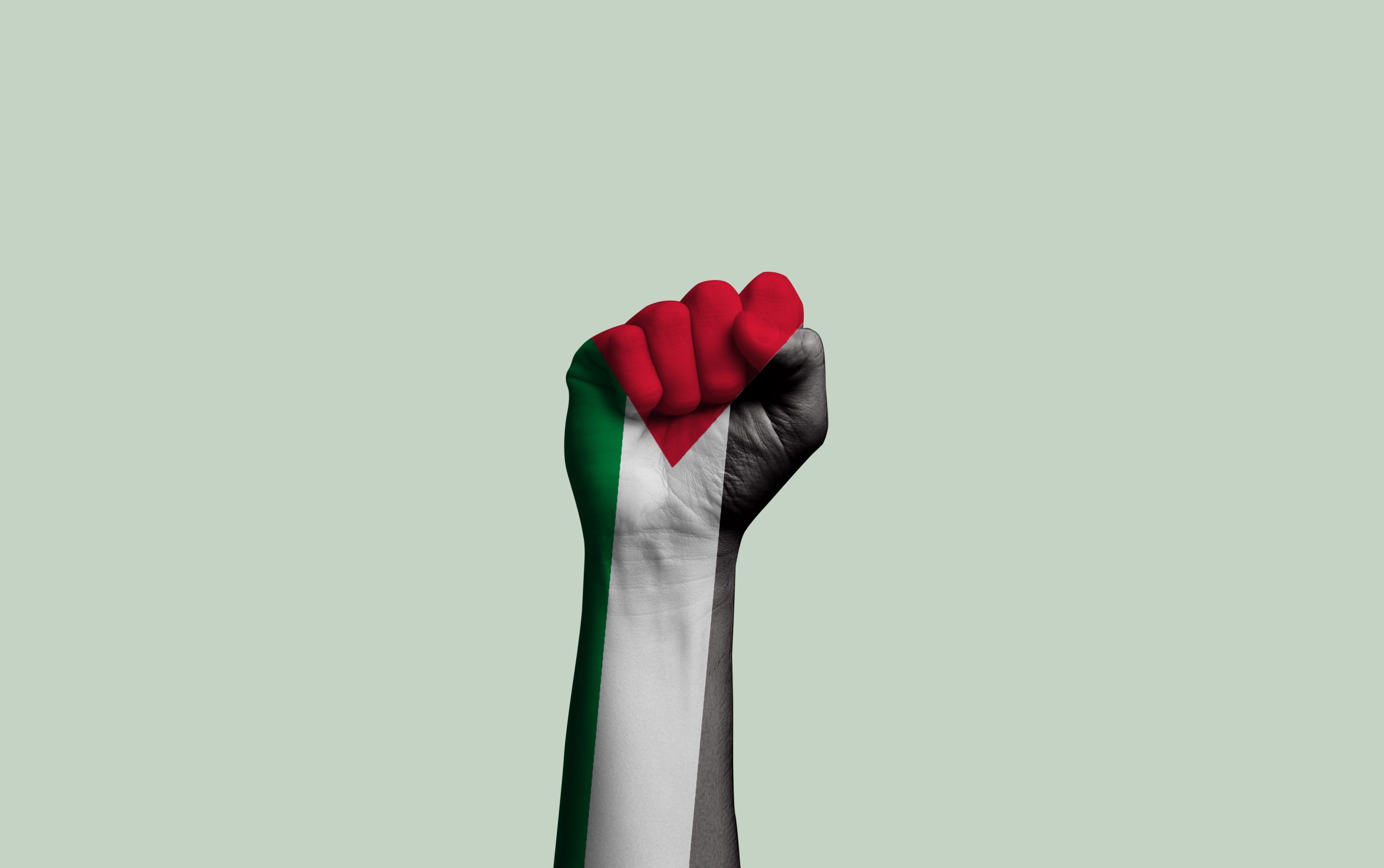 Séisme diplomatique : la France brise le tabou palestinien à l’ONU