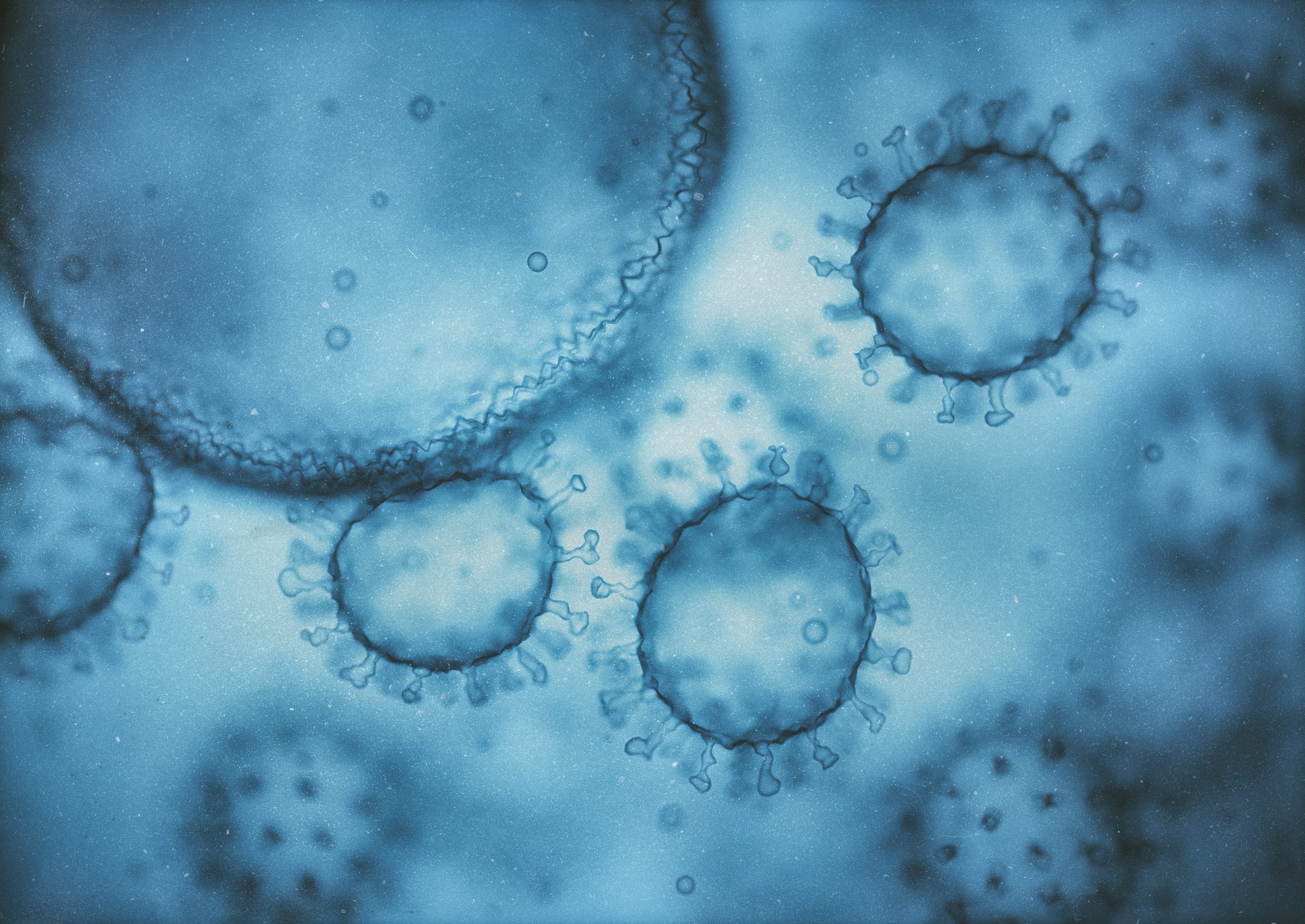 De quoi parle-t-on ? Le vaccin CD40.HIVRI.Env, une innovation française en pointe
