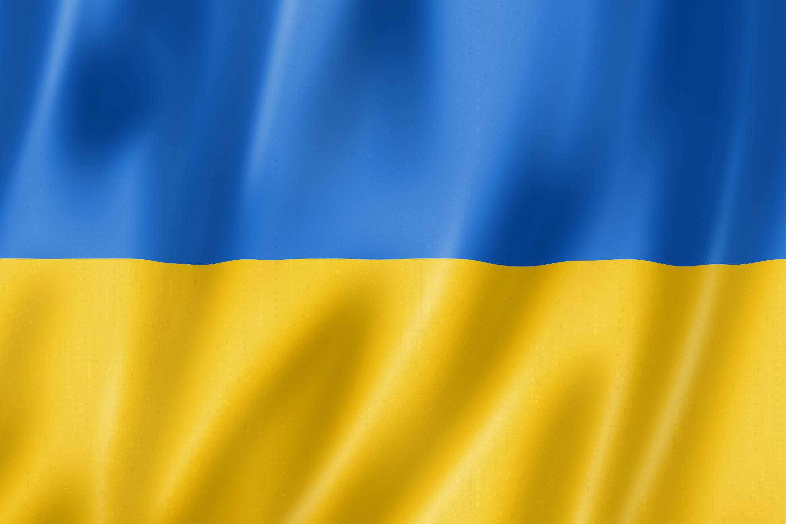 L’impact Flamingo : société ukrainienne, morale internationale