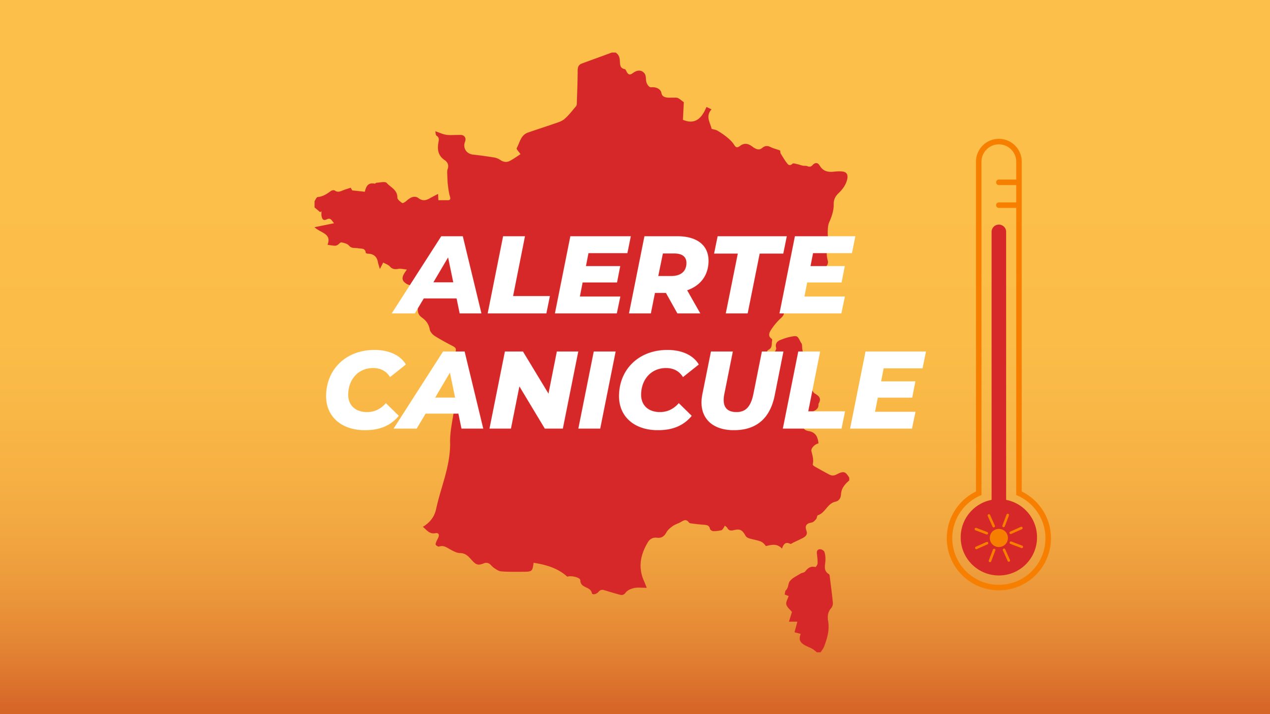 une chaleur persistante, un été sans répit