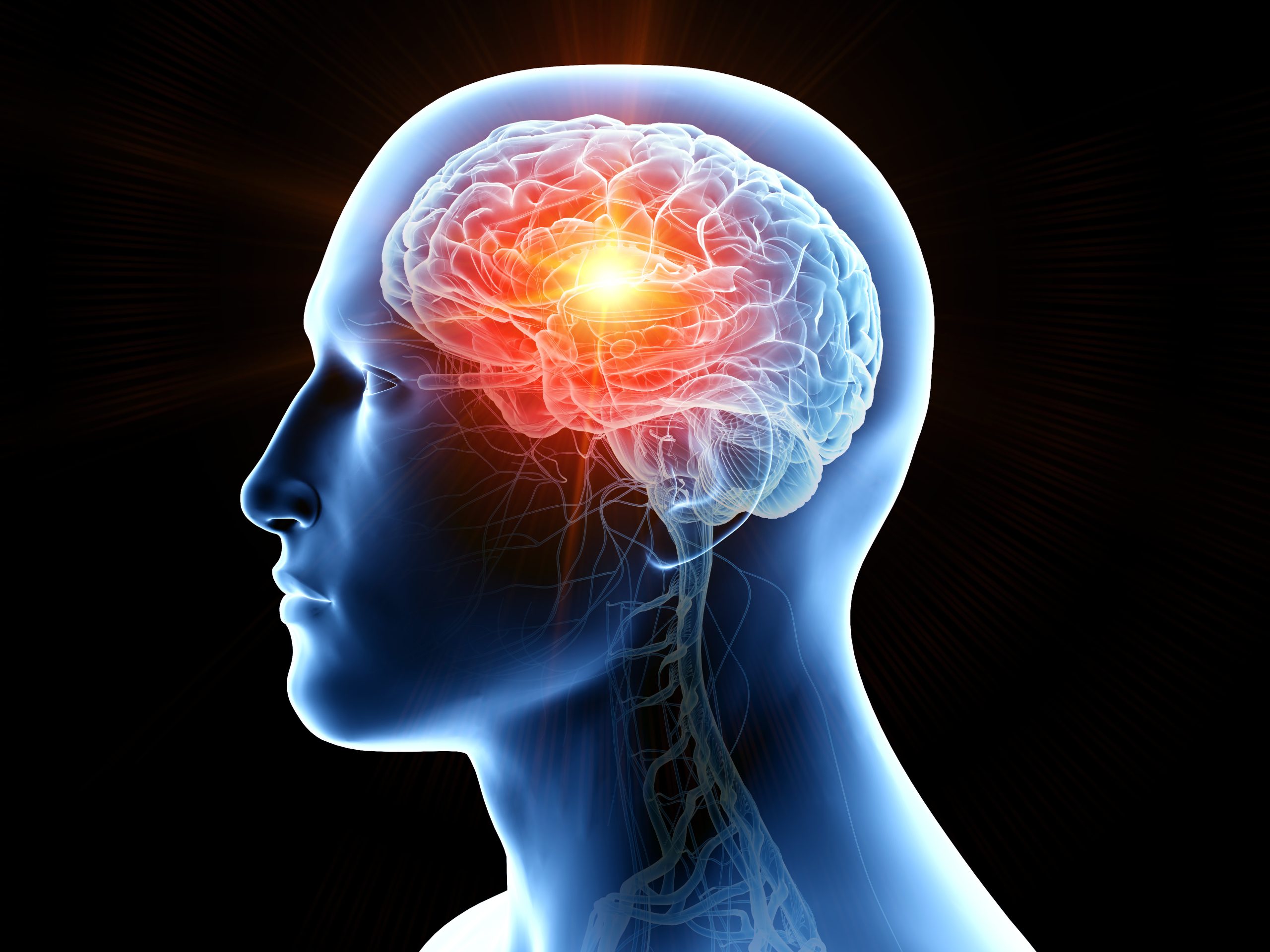 5 façons uniques dont la science perce le mystère de votre cerveau en 2025