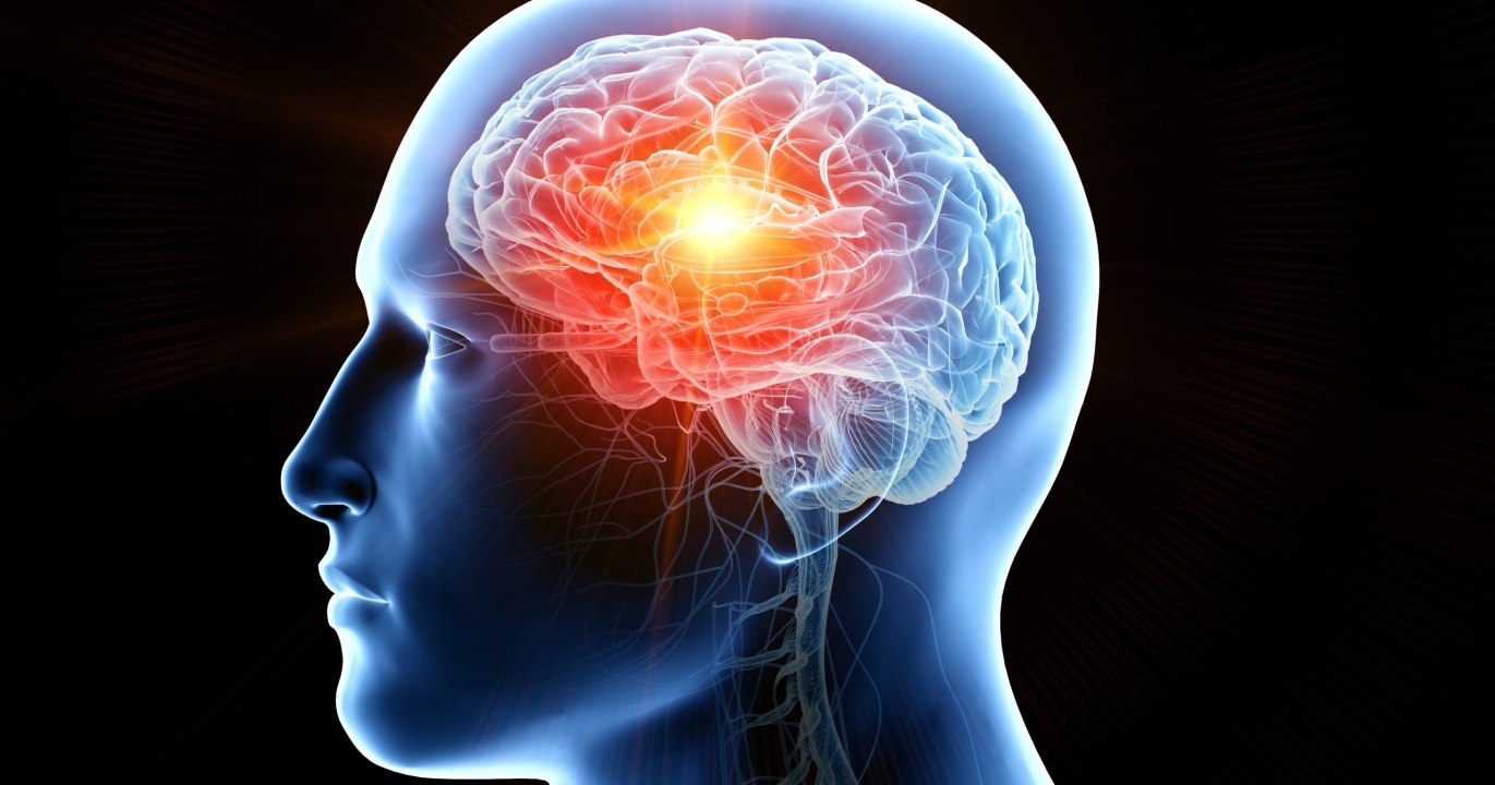 5 façons uniques dont la science perce le mystère de votre cerveau en 2025