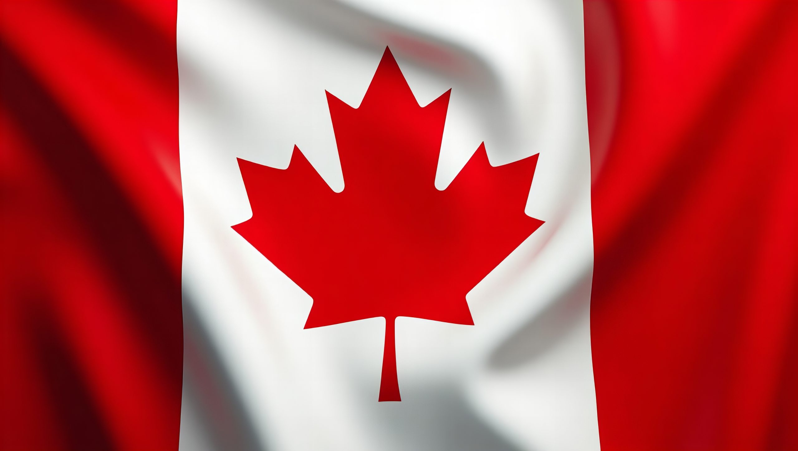 Le Canada capitule sur le bois d’œuvre : la reddition historique qui affole l’industrie forestière