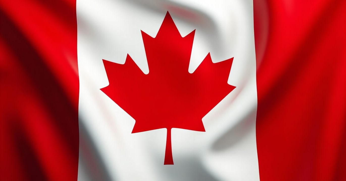 Le Canada capitule sur le bois d&#039;œuvre : la reddition historique qui affole l&#039;industrie forestière