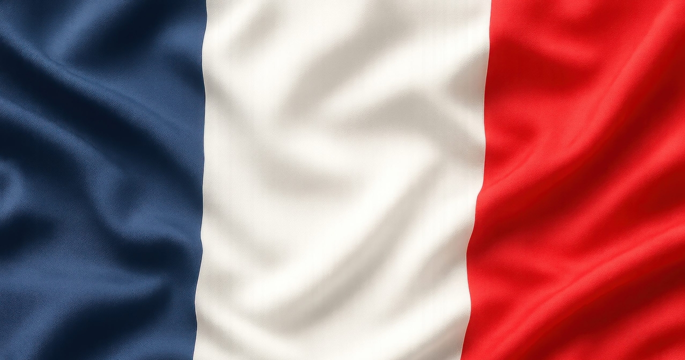 Sarkozy prophétise l&#039;effondrement : « Il n&#039;y aura pas d&#039;autre solution que la dissolution »