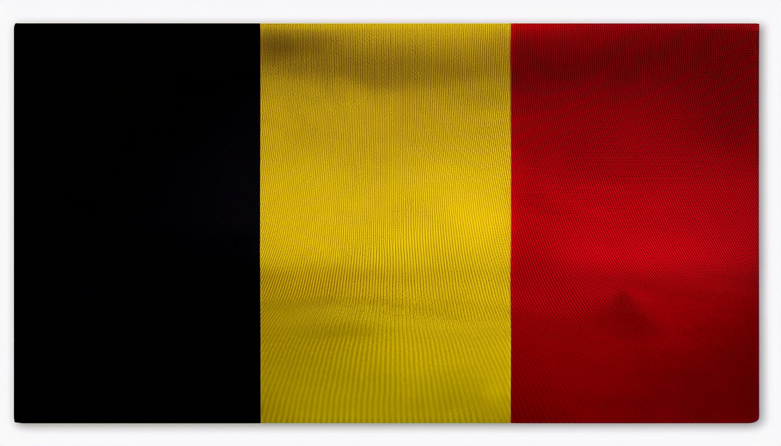 Encadré de transparence du chroniqueur