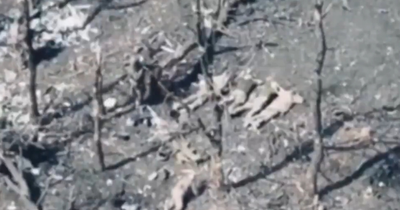 Chronique : Cinq soldats face au sol. Puis les balles. Puis le silence des crimes russes