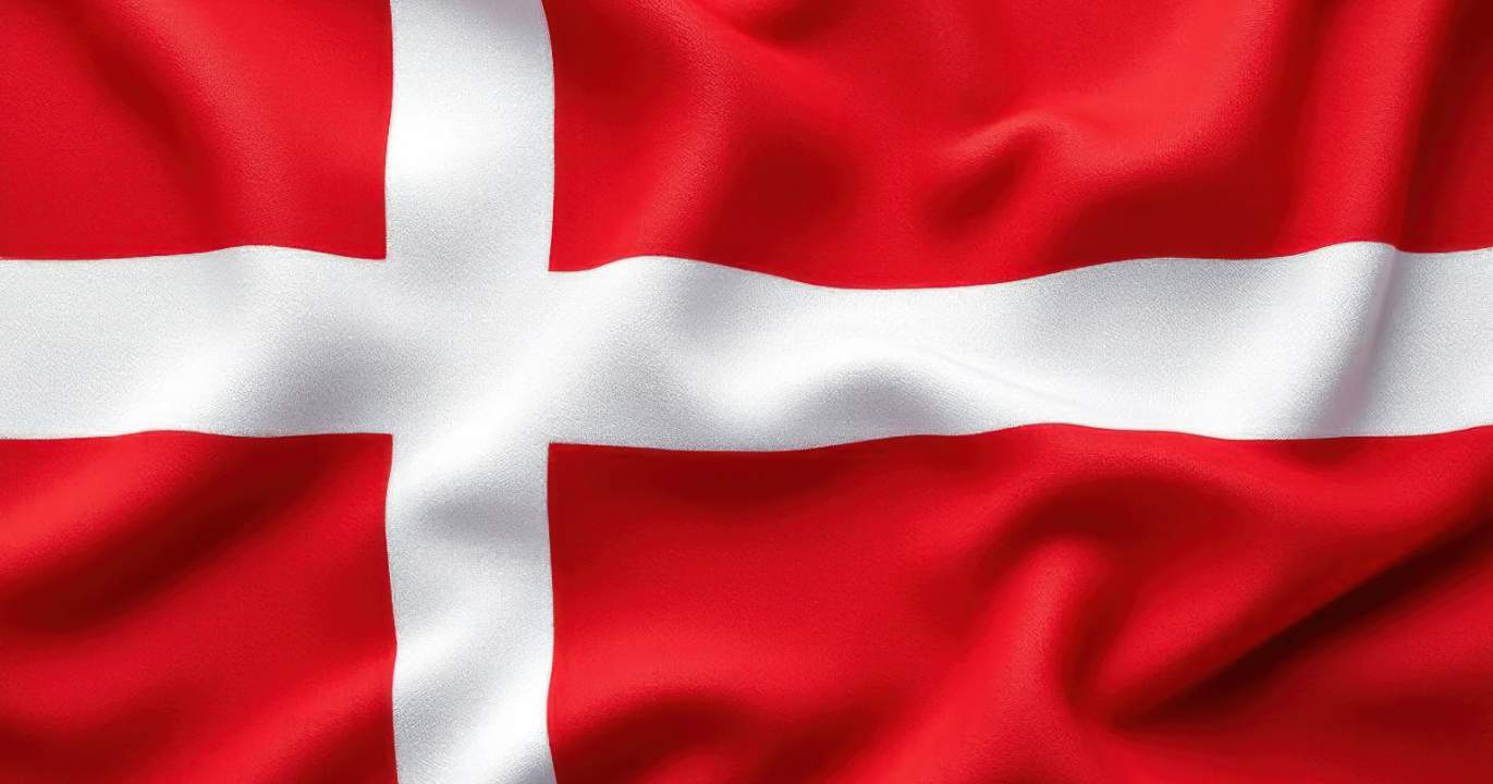 Les soldats danois : prêts à se battre pour leur terre