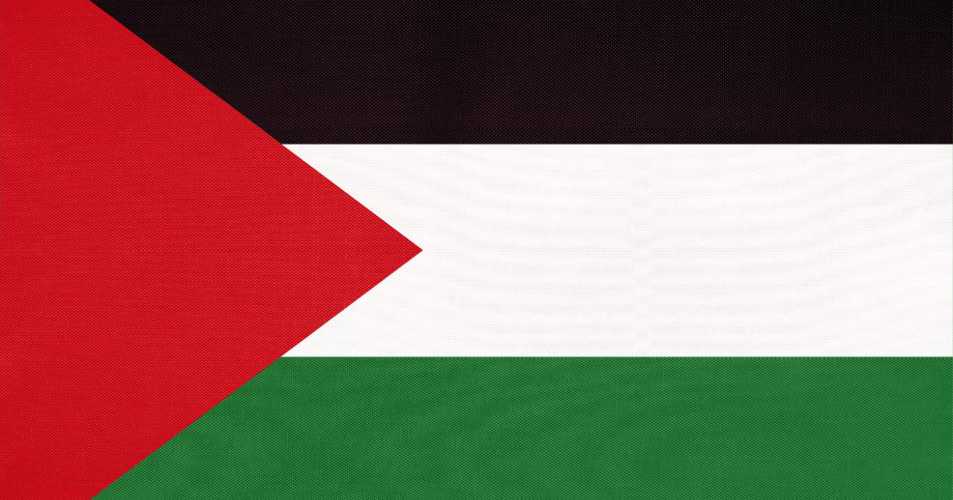 Section 8 : Israël, ou la logique de l’impunité